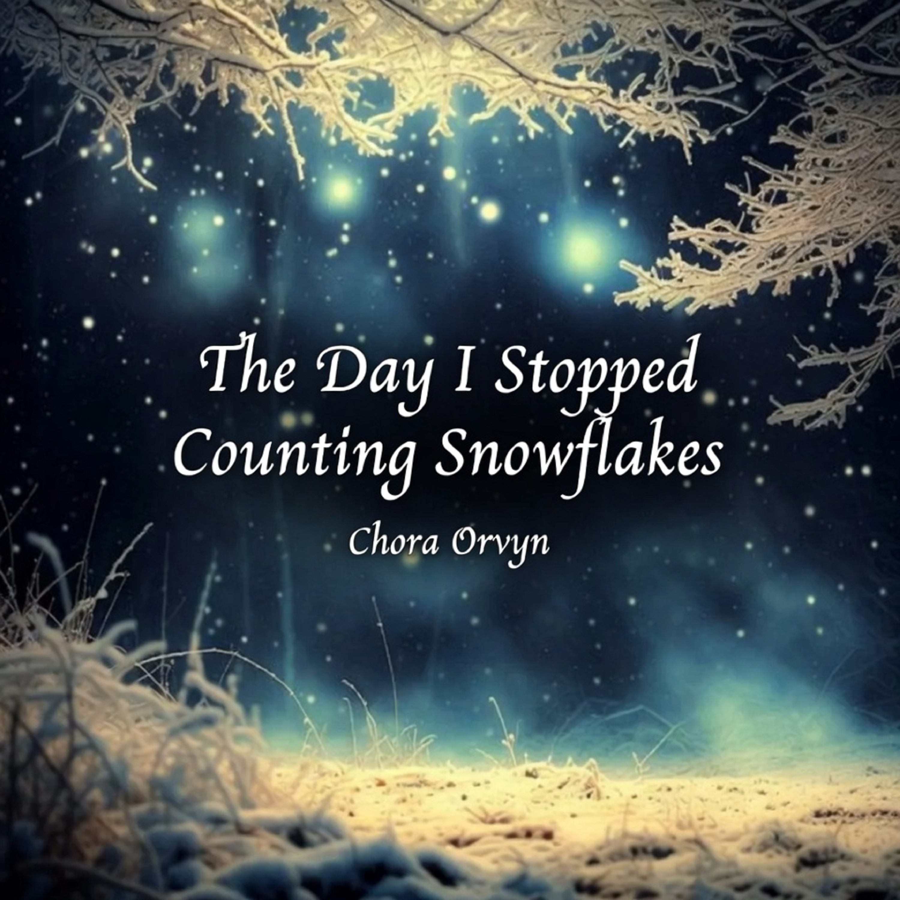 The Day I Stopped Counting Snowflakes artwork
