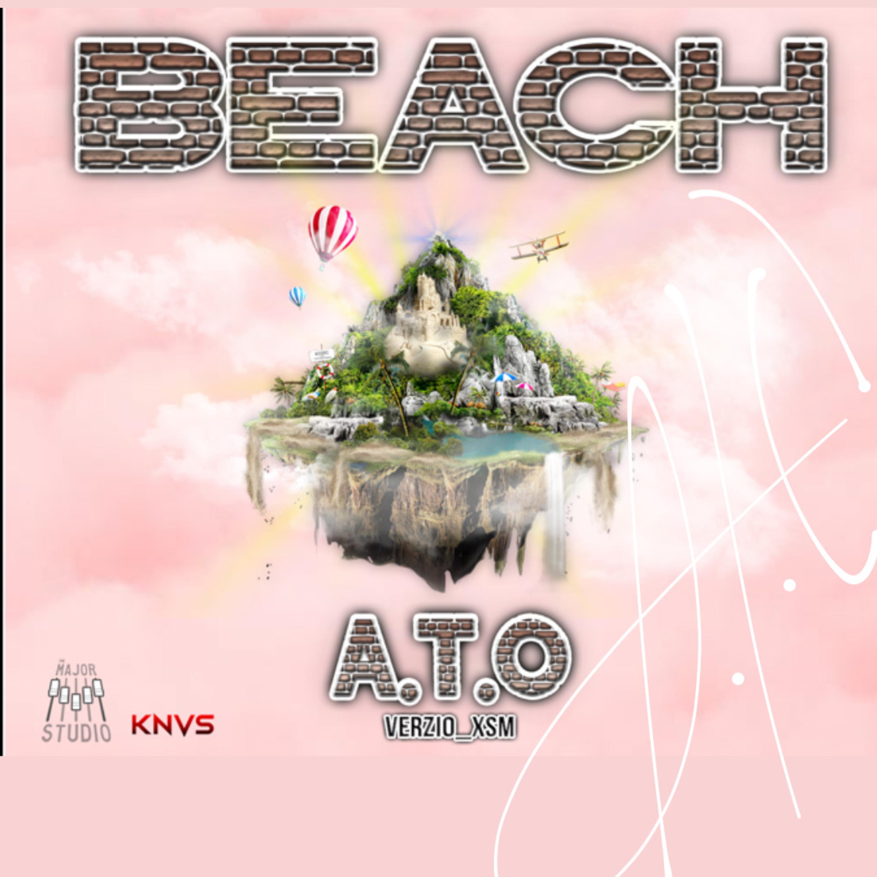 BEACH by Chairman Allen cover art