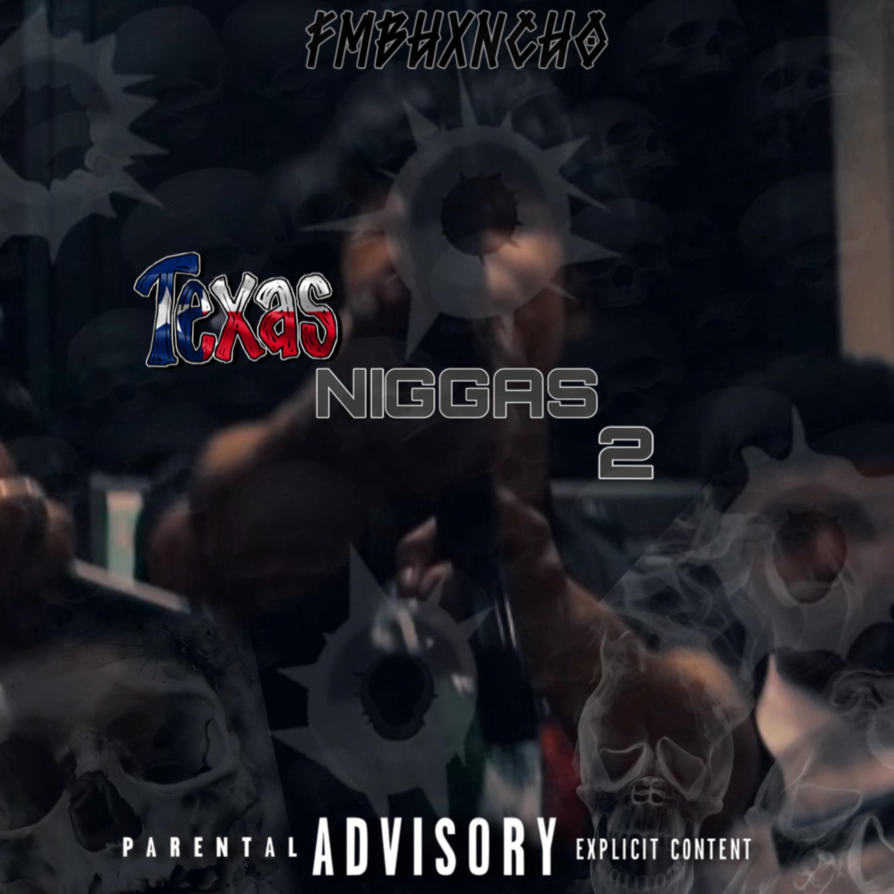 Texas Niggas 2 artwork