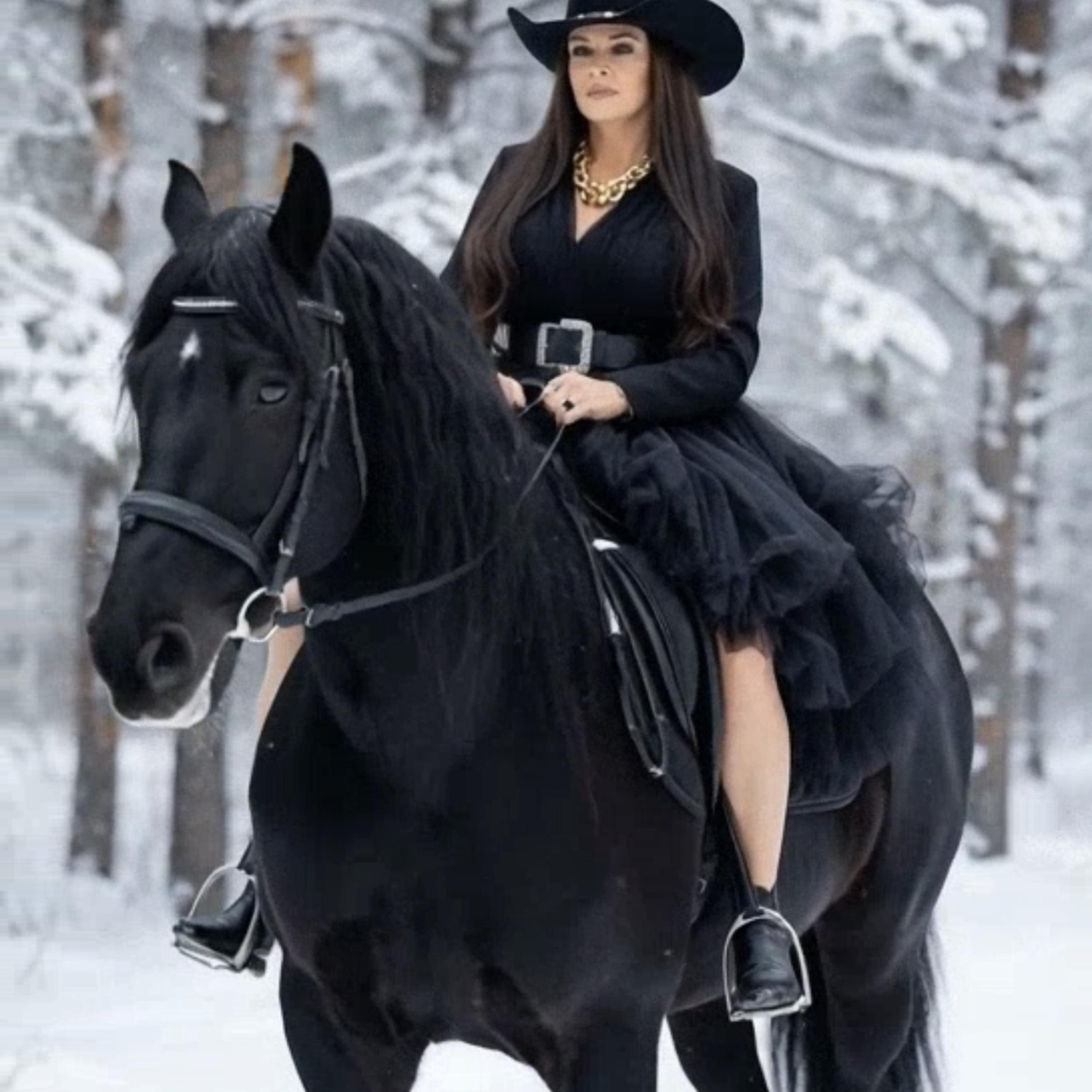 I’m Alone Star In Texas artwork