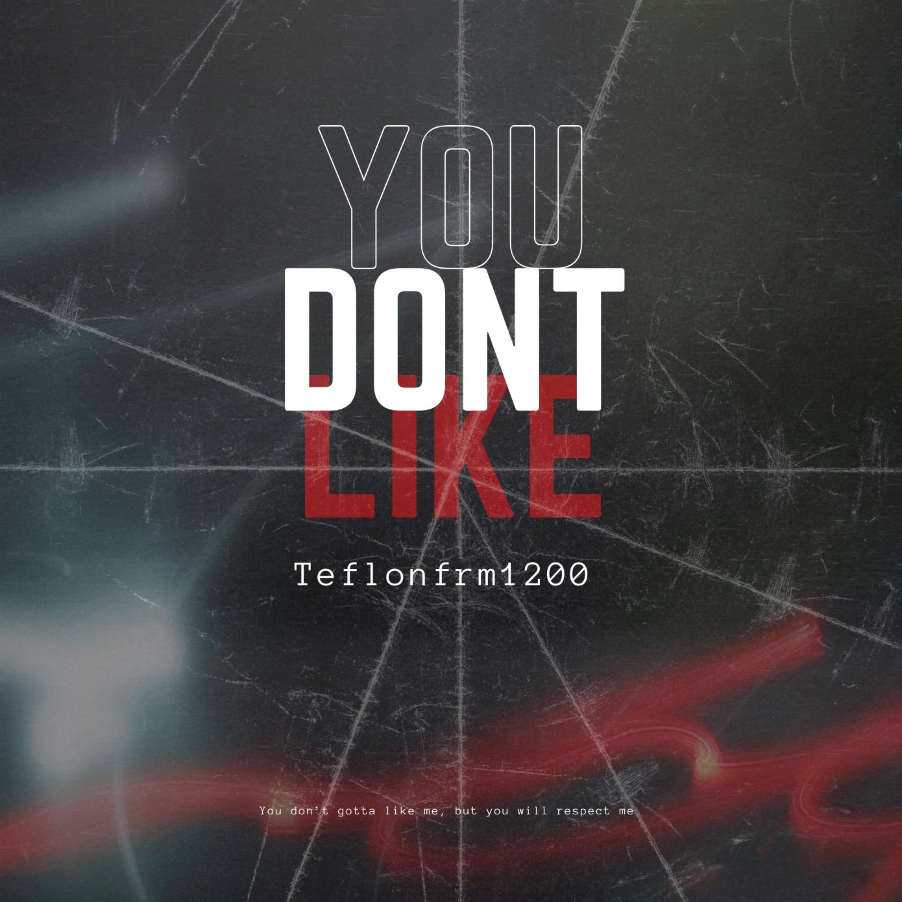 You Dont Like artwork