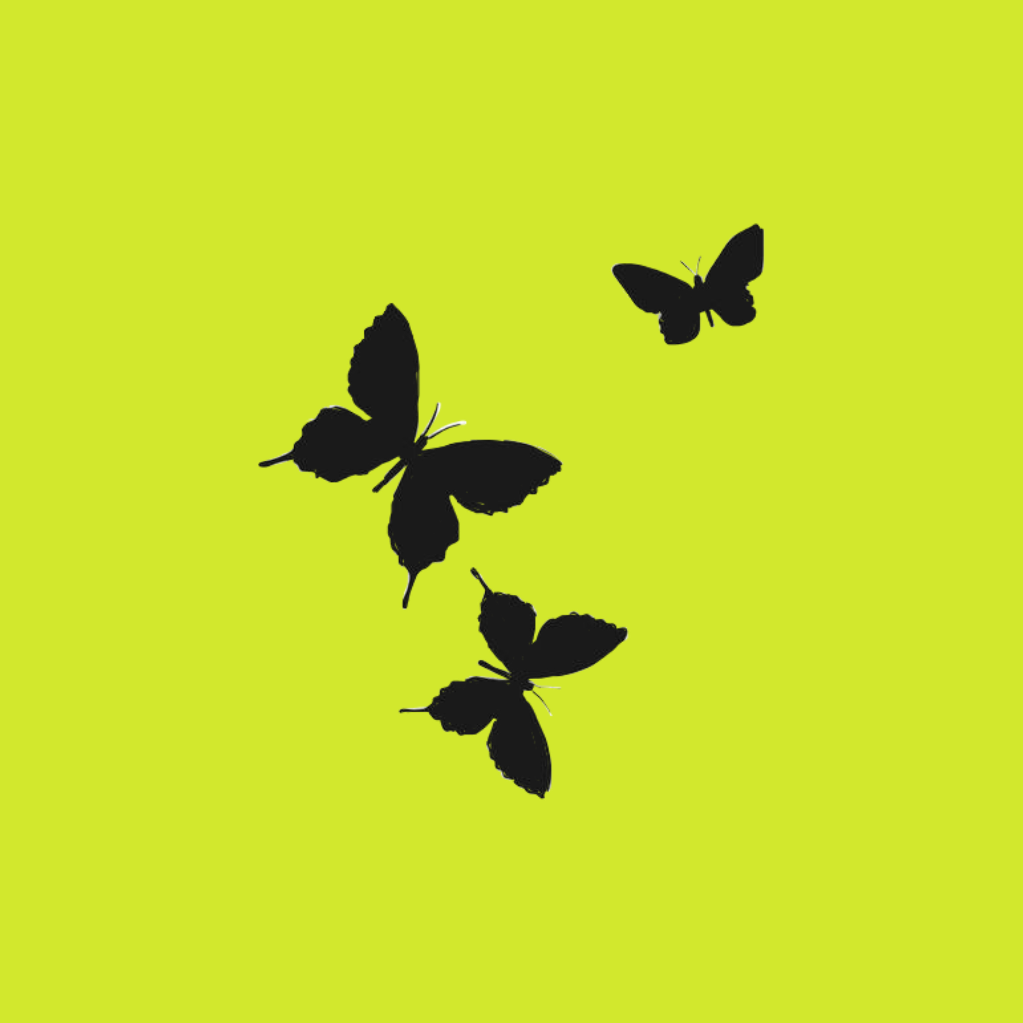 You Can Try ¿ artwork