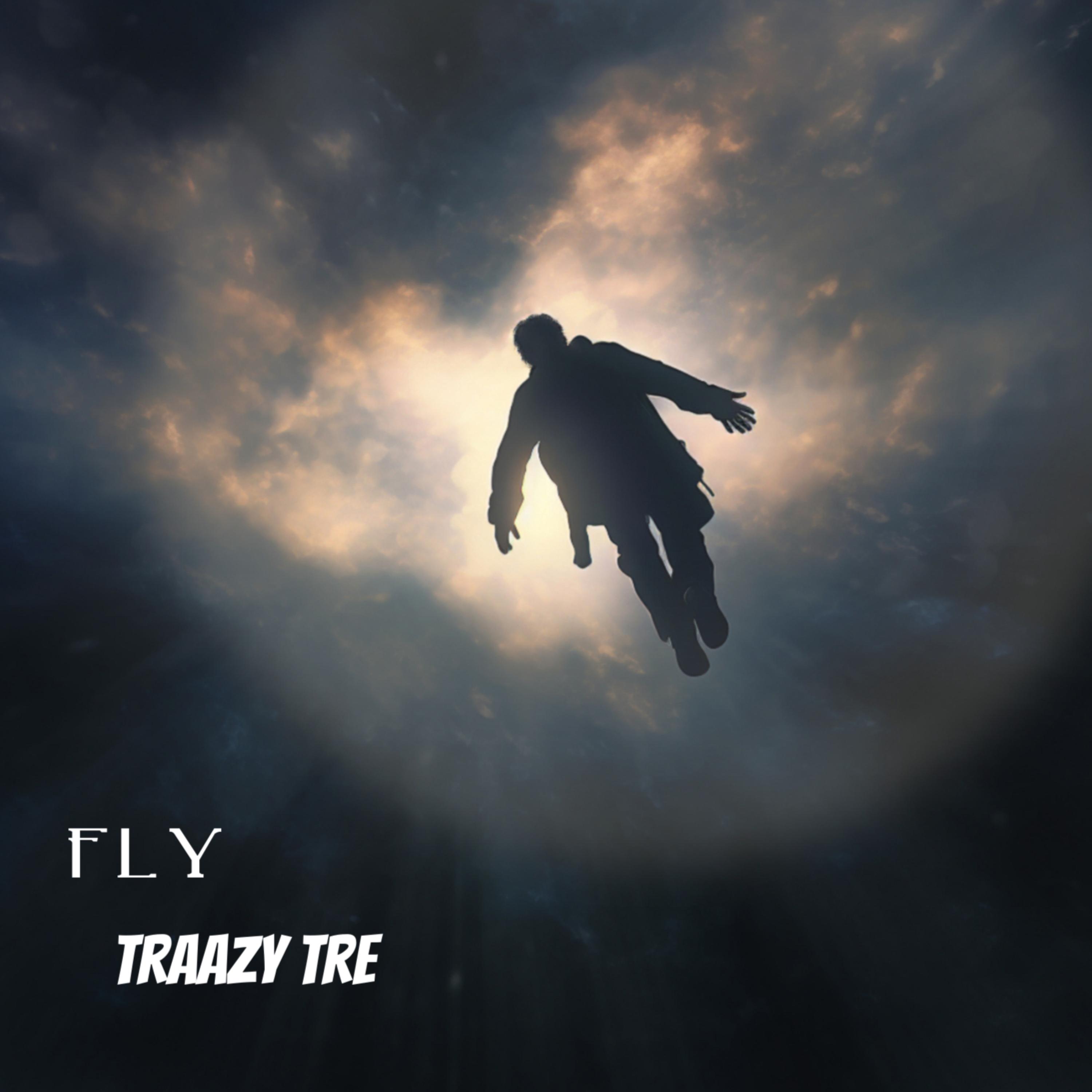 Fly (Instrumental) artwork