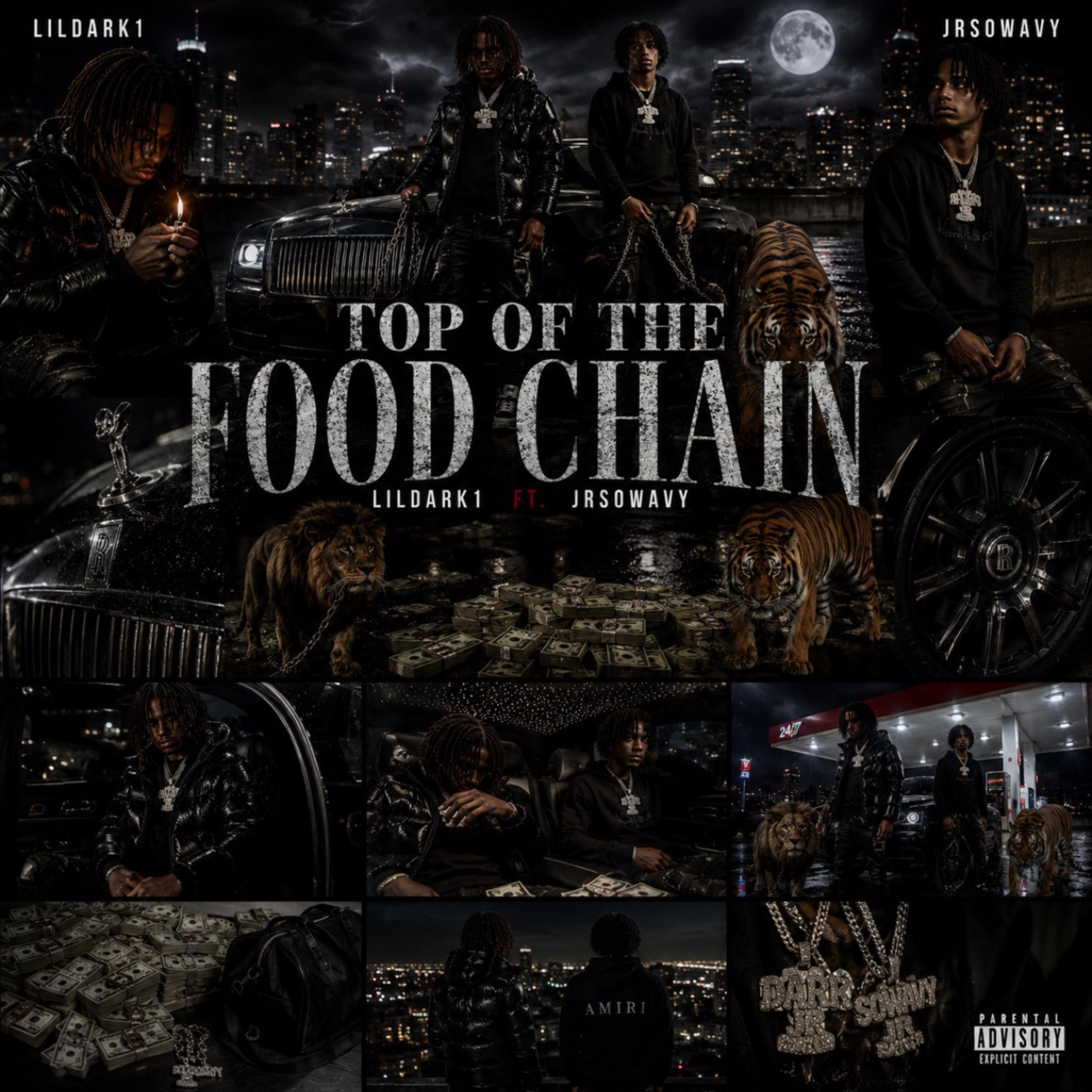 TOP OF THE FOOD CHAIN by Lildark1 cover art