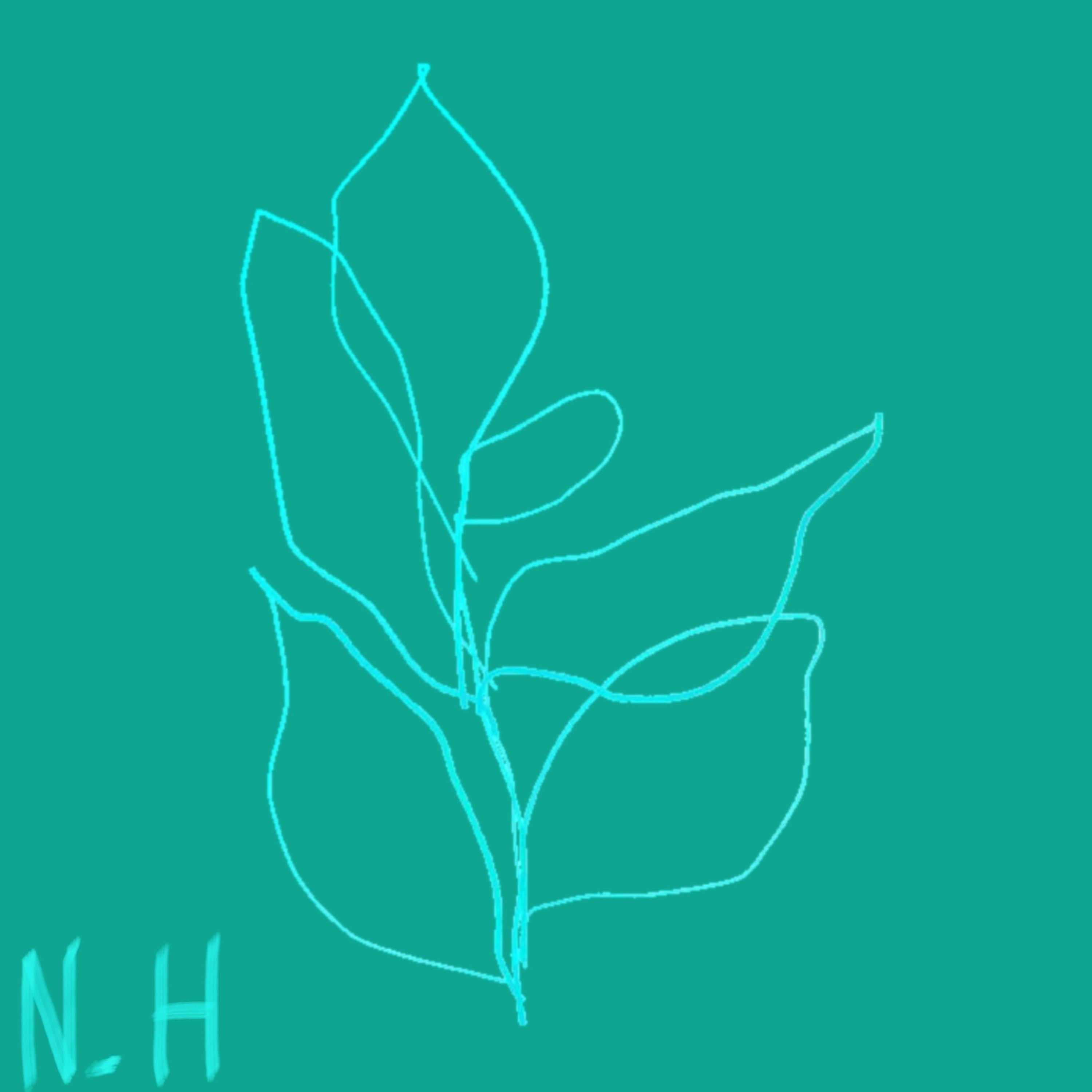 N.H. artwork