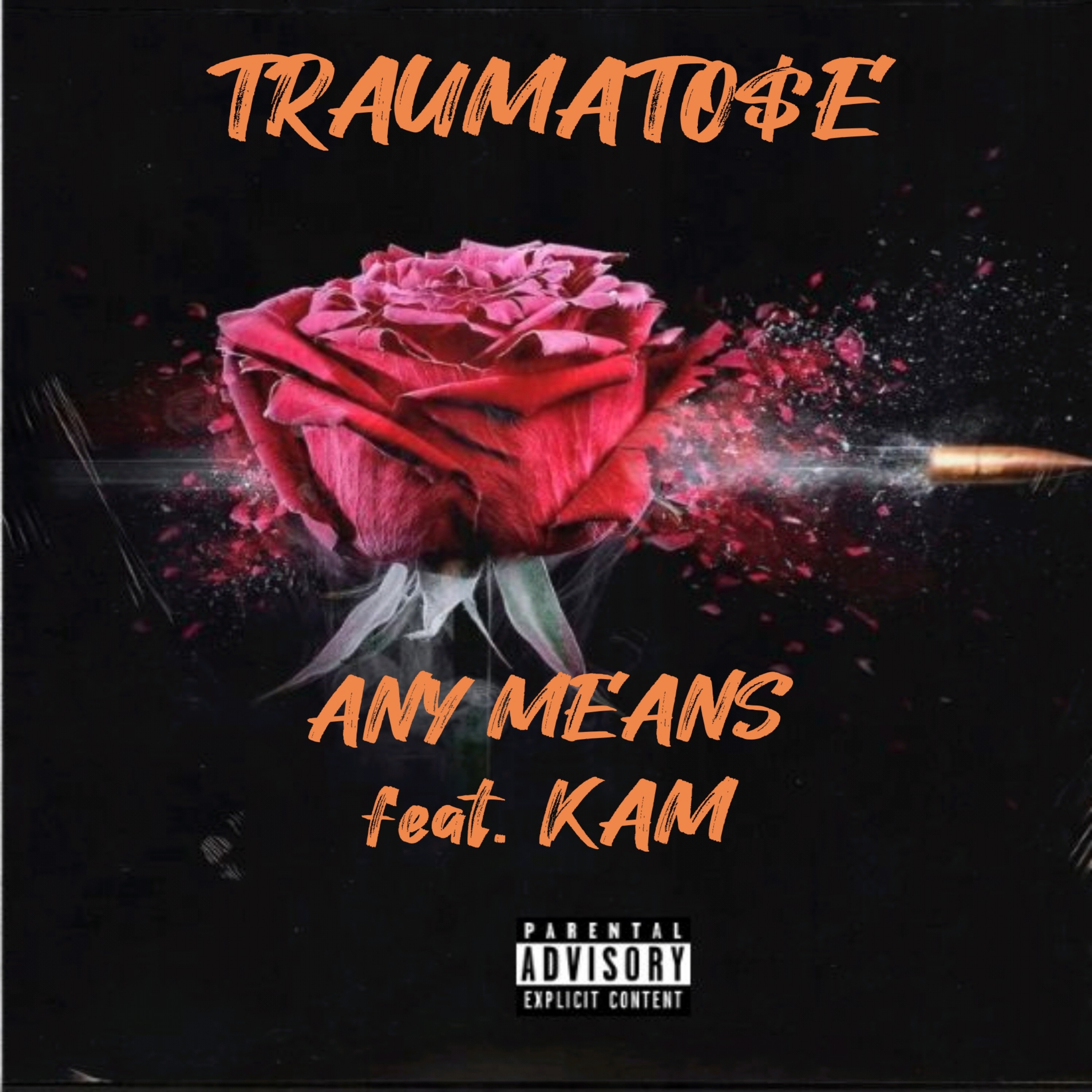 ANY MEANS  artwork