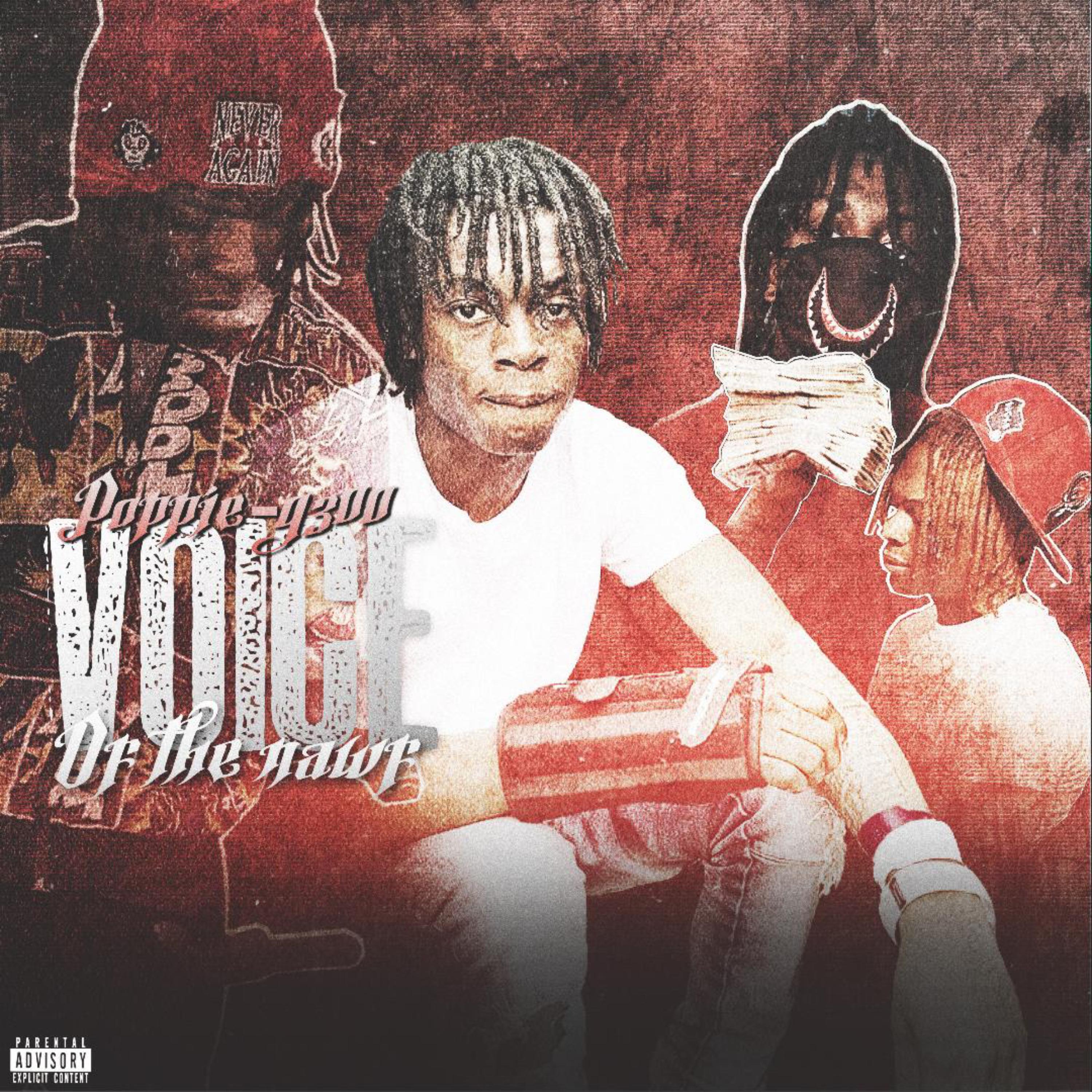 Voice Of The Nawf artwork