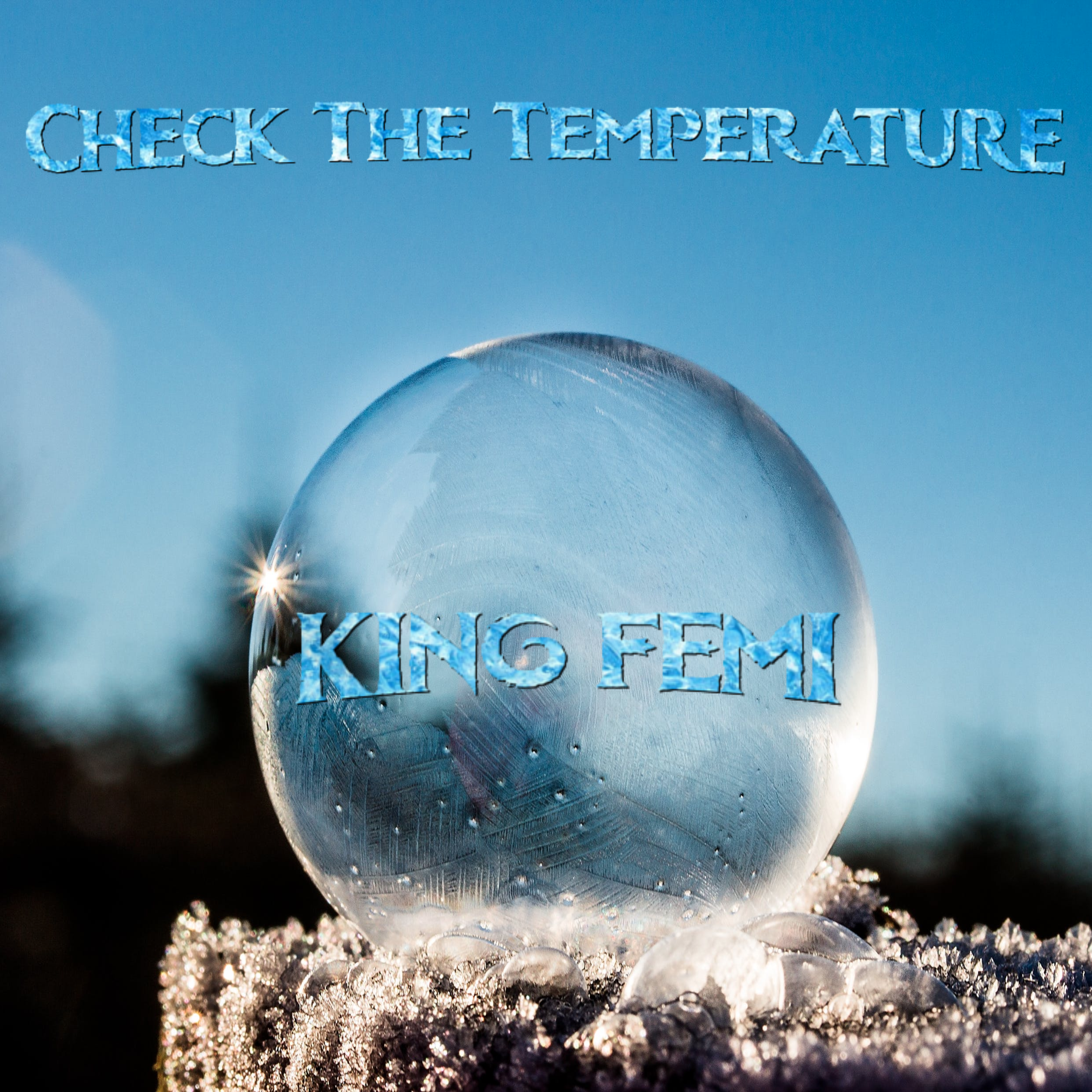 Check The Temperature artwork