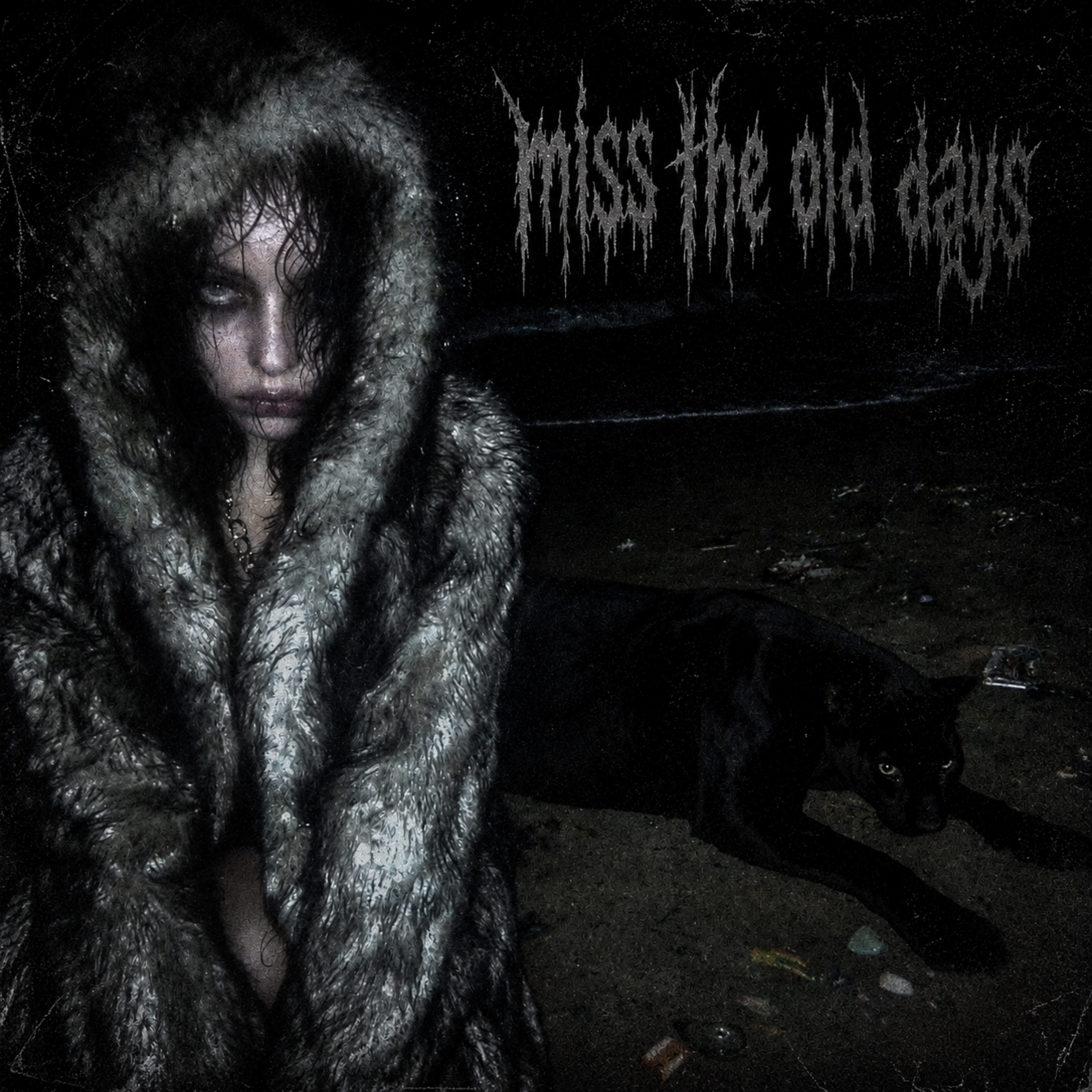 miss the old days by stayedahunnid cover art