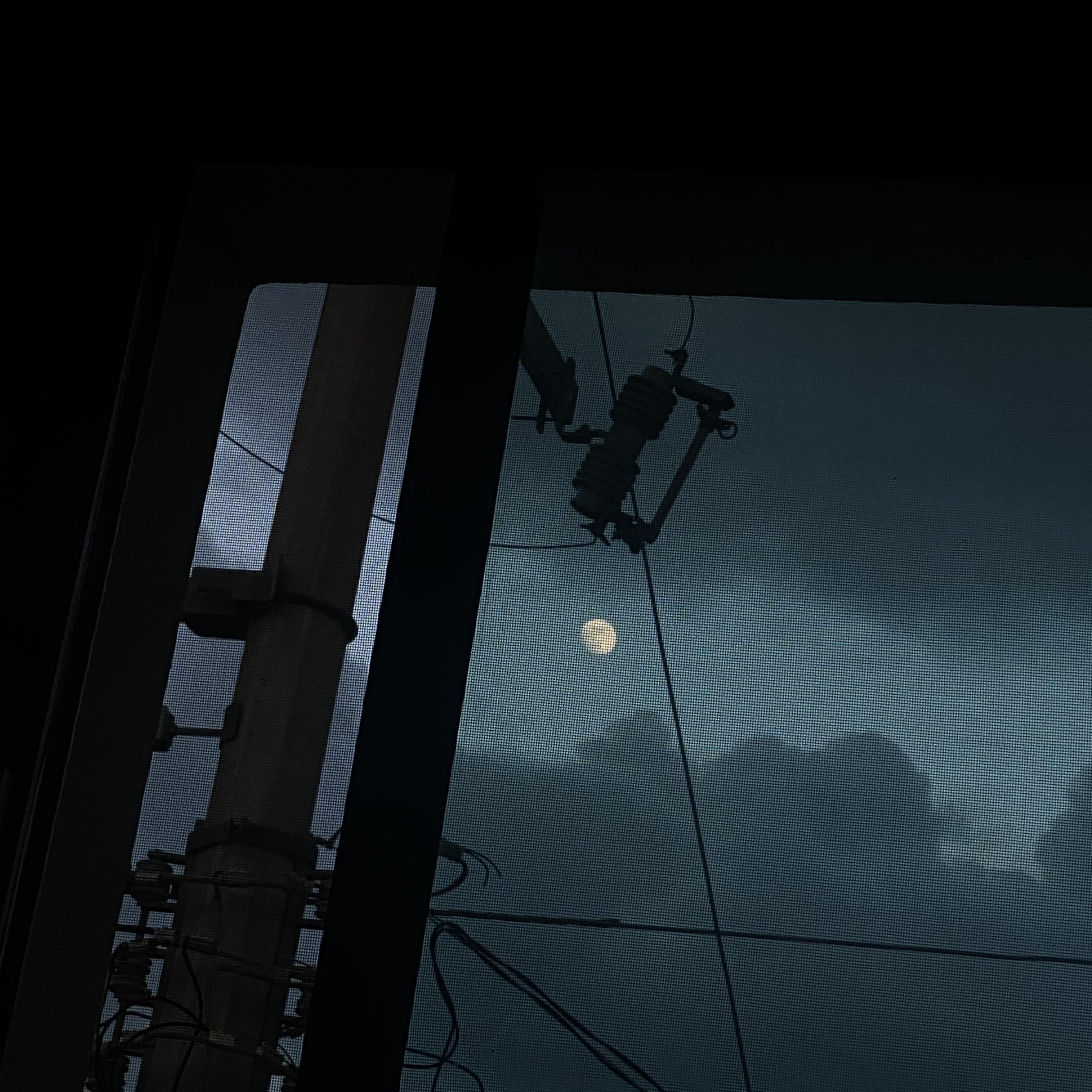 I’m a Therian Cat (Slowed) artwork