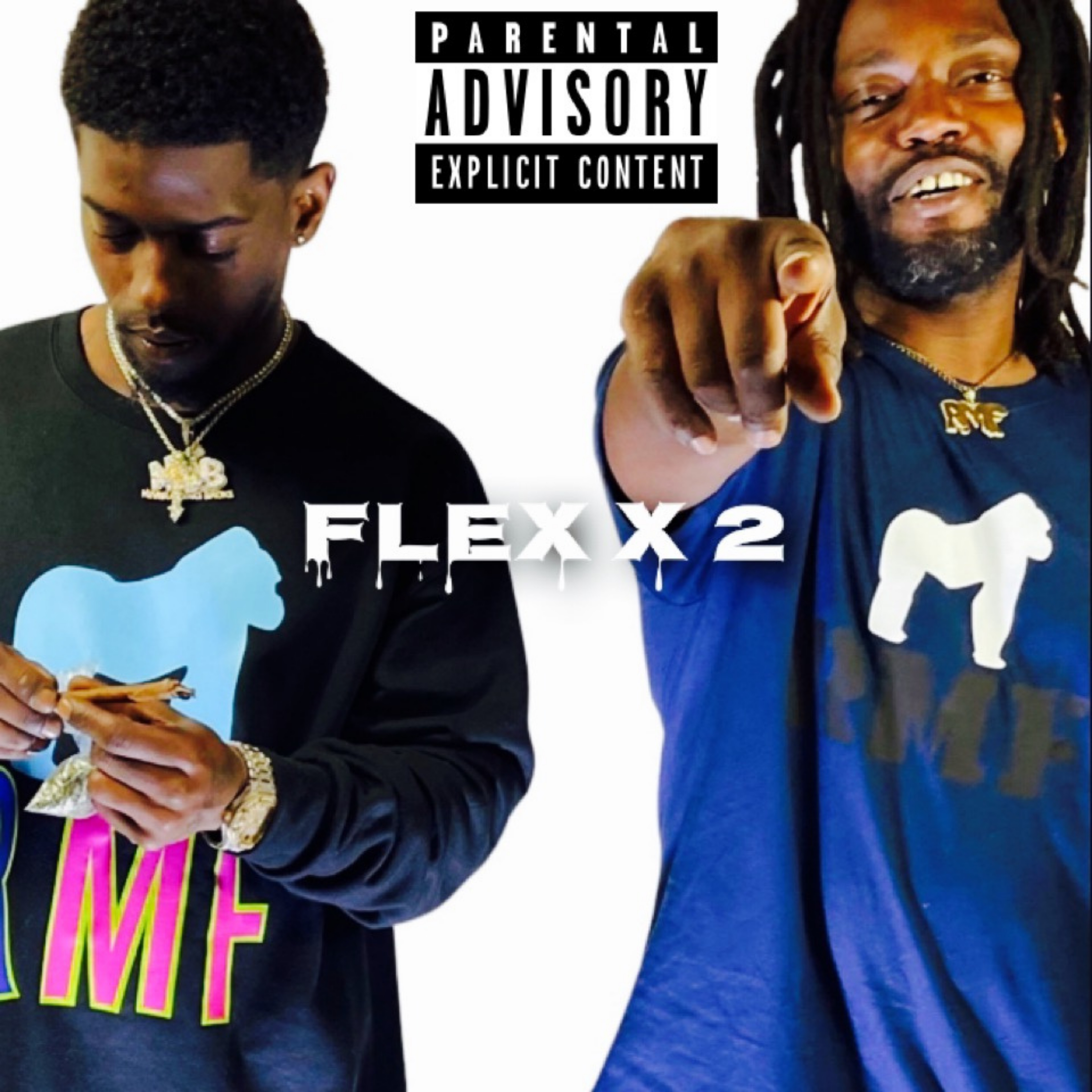 Flex  X 2 artwork