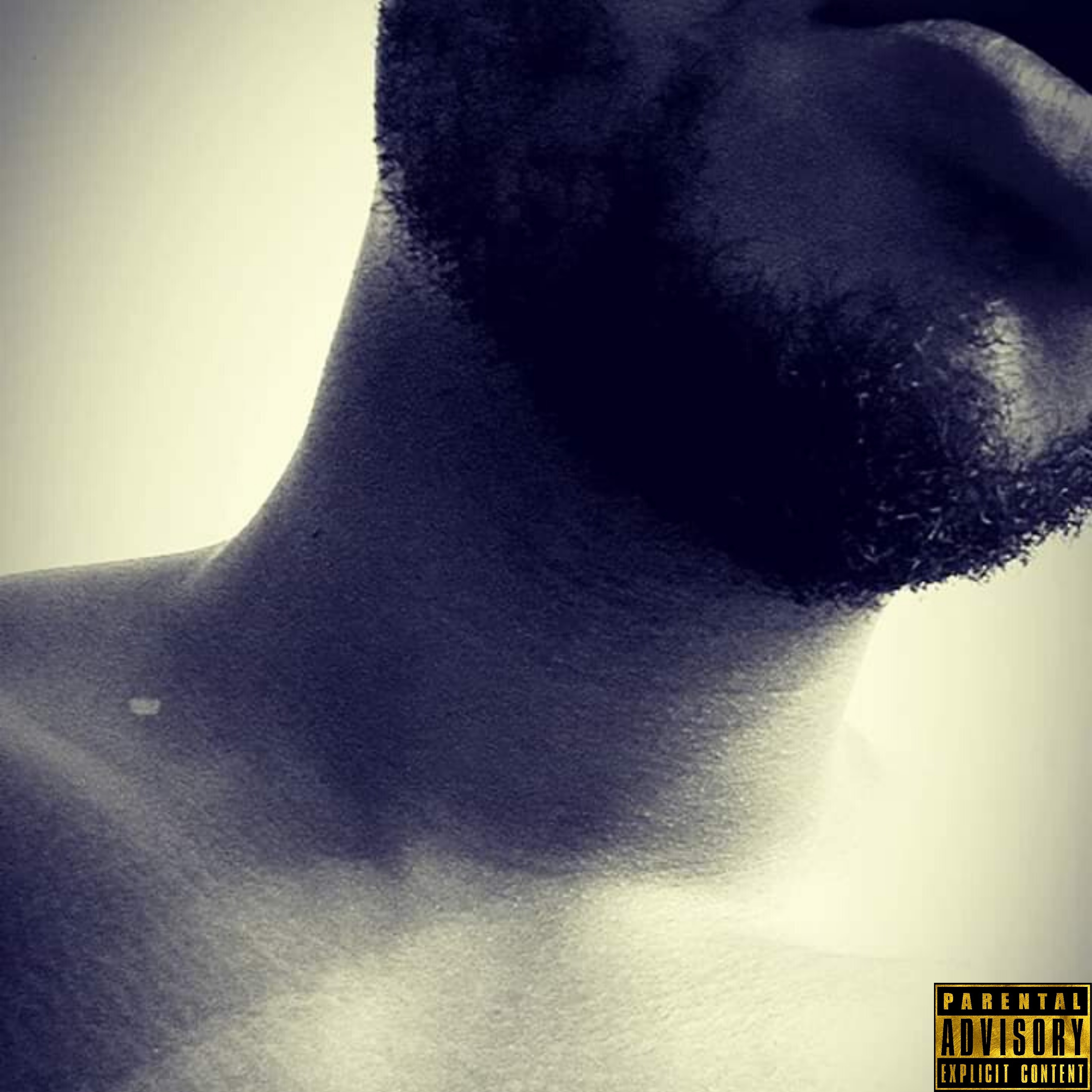 Interpretations artwork