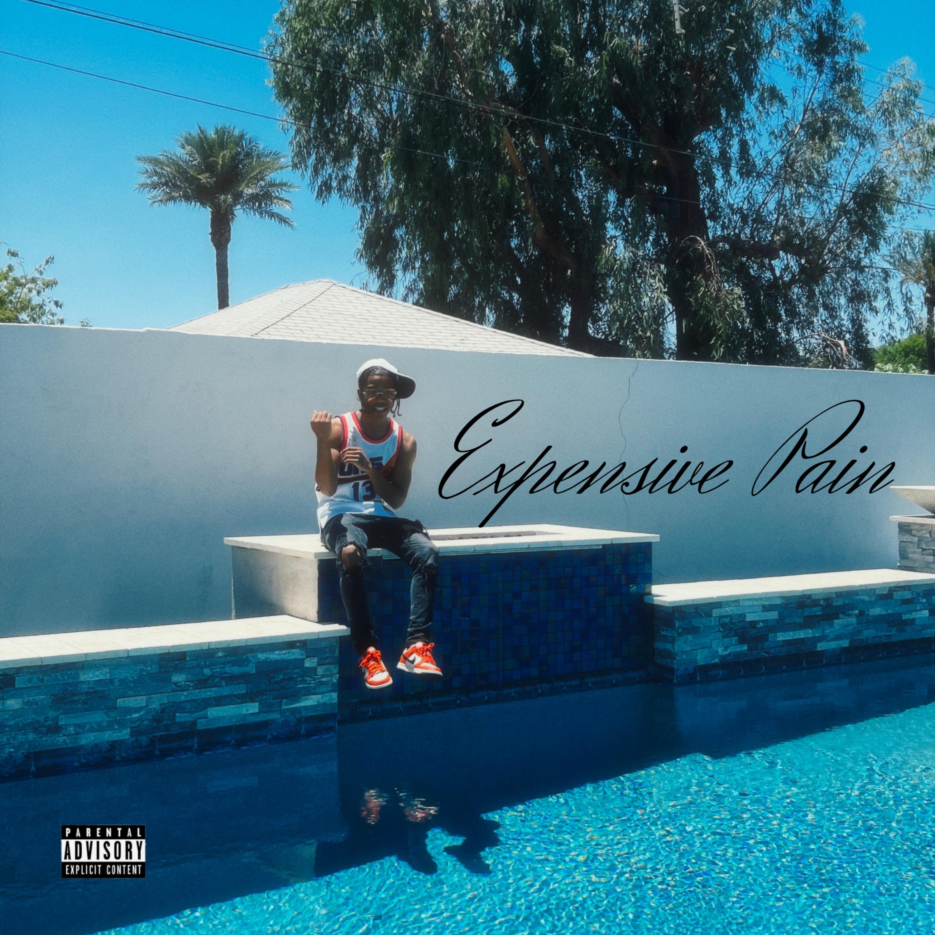 Expensive Pain artwork