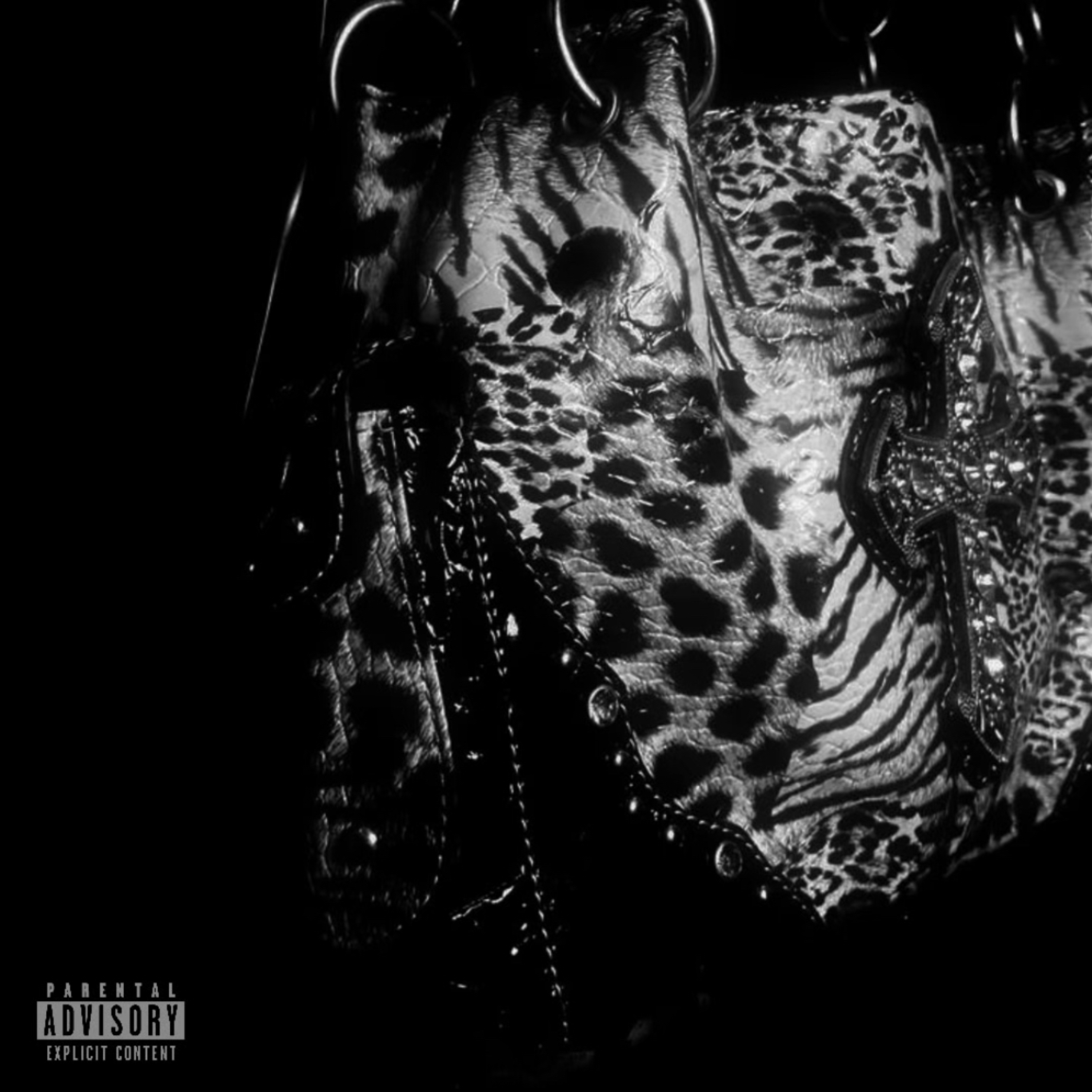 montana by swavo cover art
