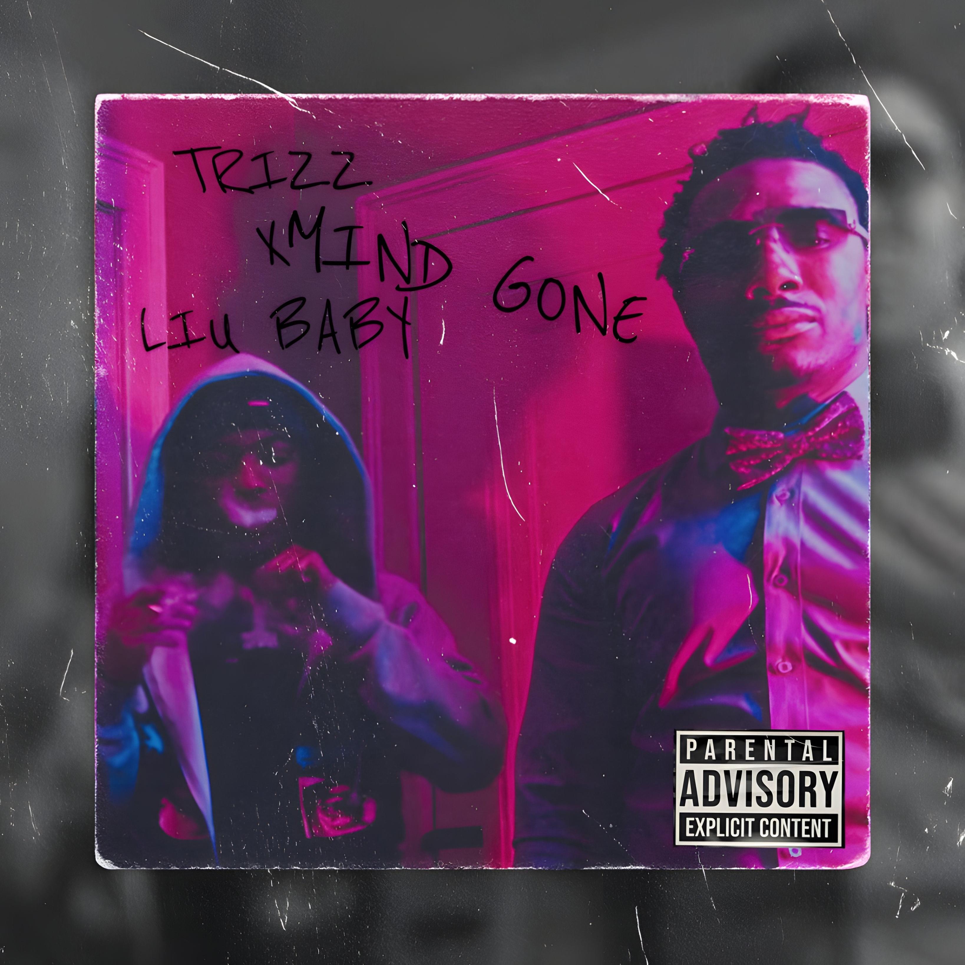 Mind Gone artwork