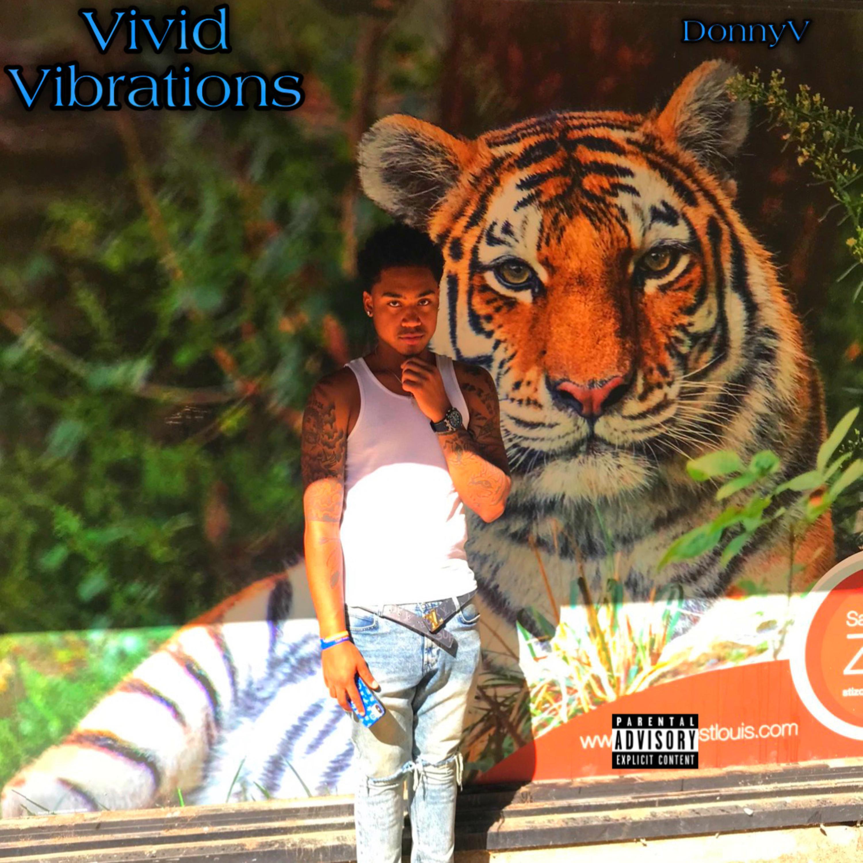 Vivid Vibrations artwork