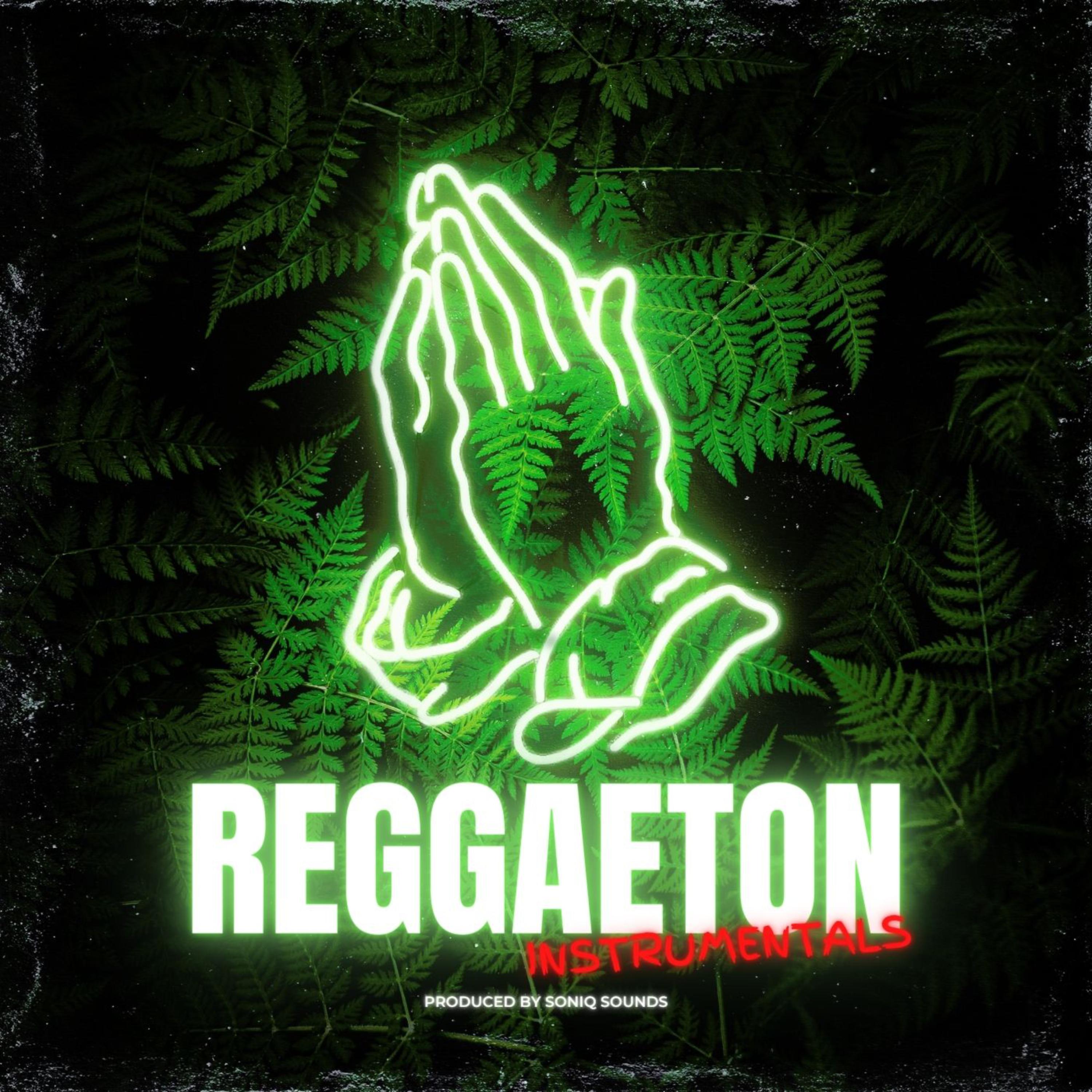 Reggaeton Instrumentals artwork