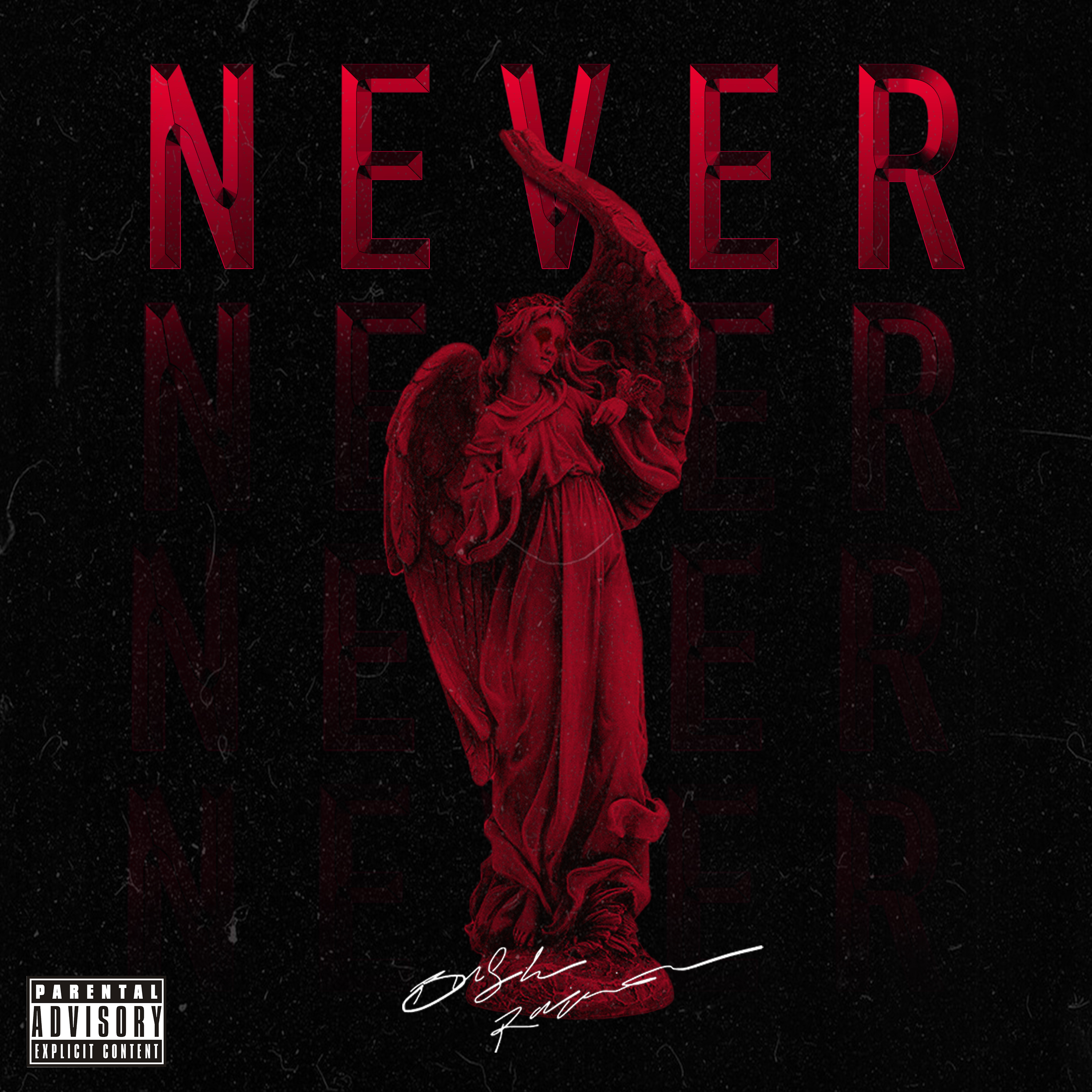 NEVER by Bush Rainier cover art