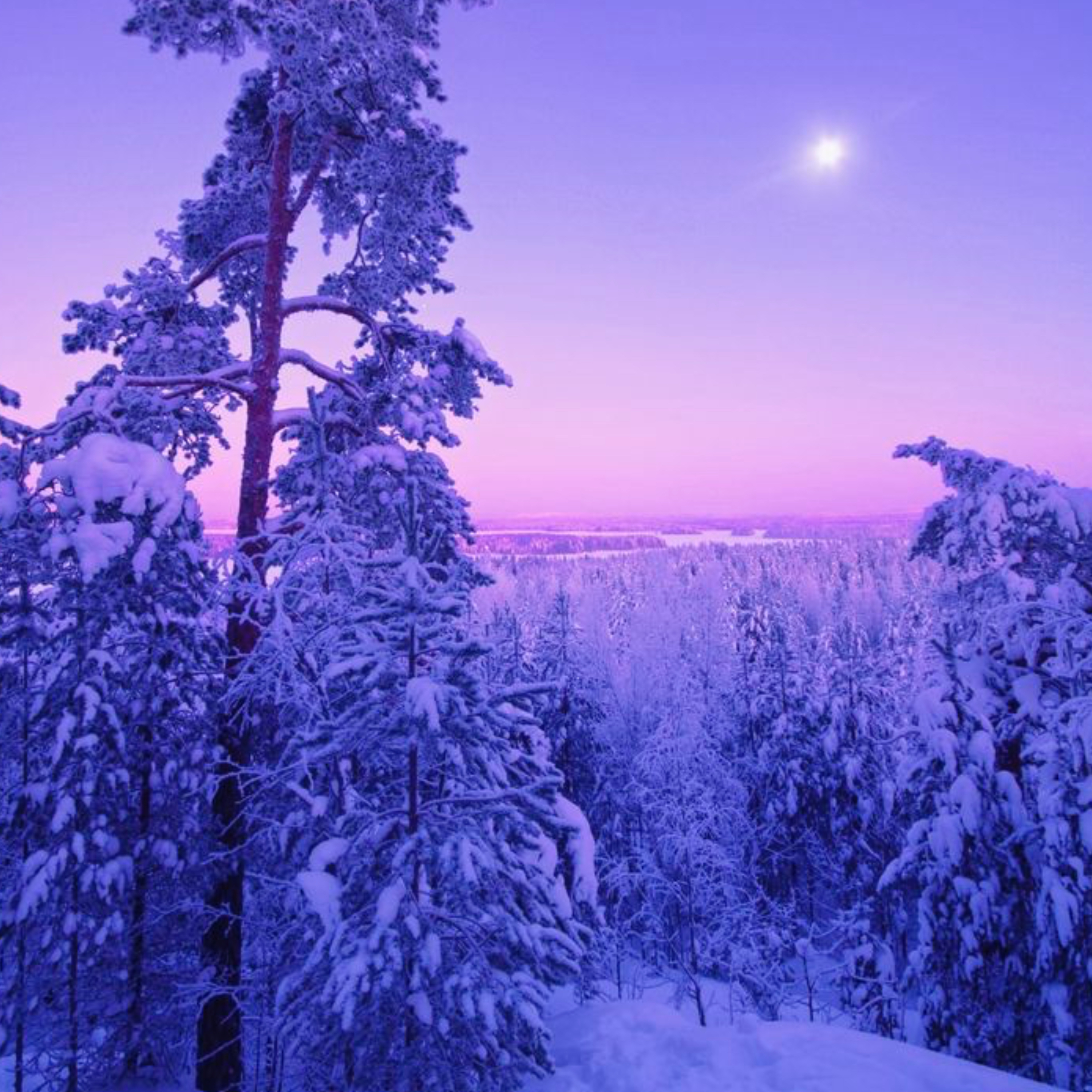 winter+ artwork