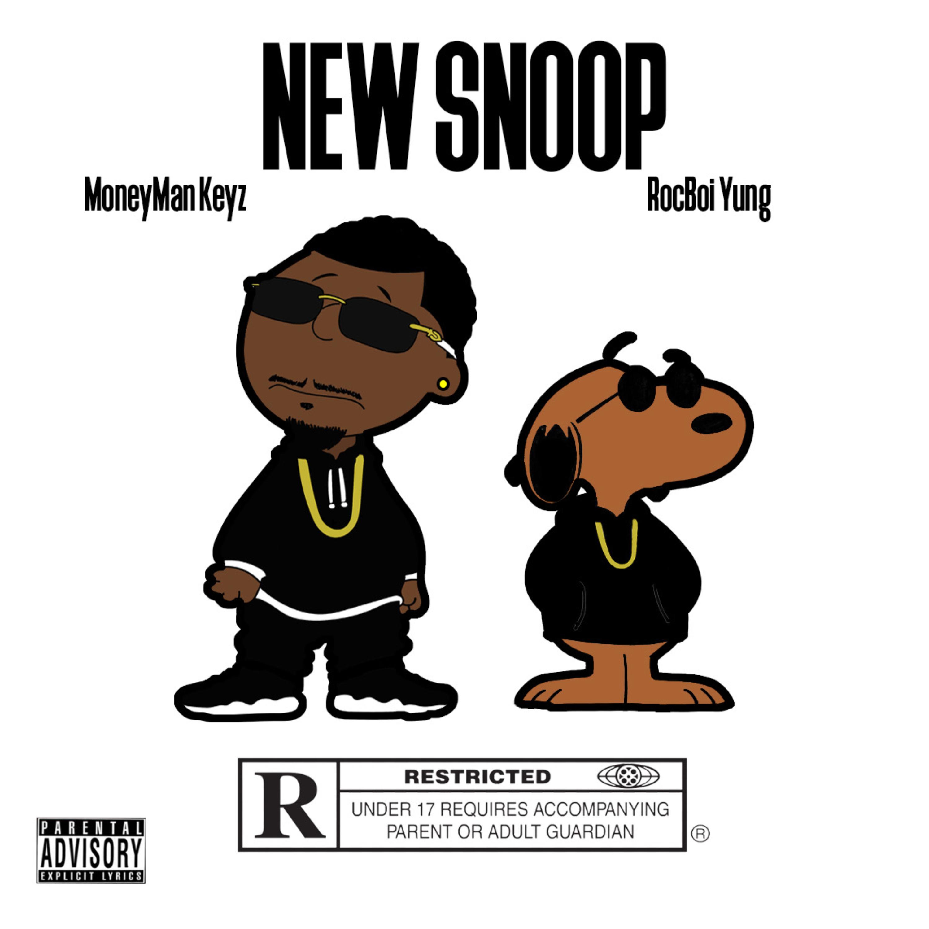 New Snoop artwork