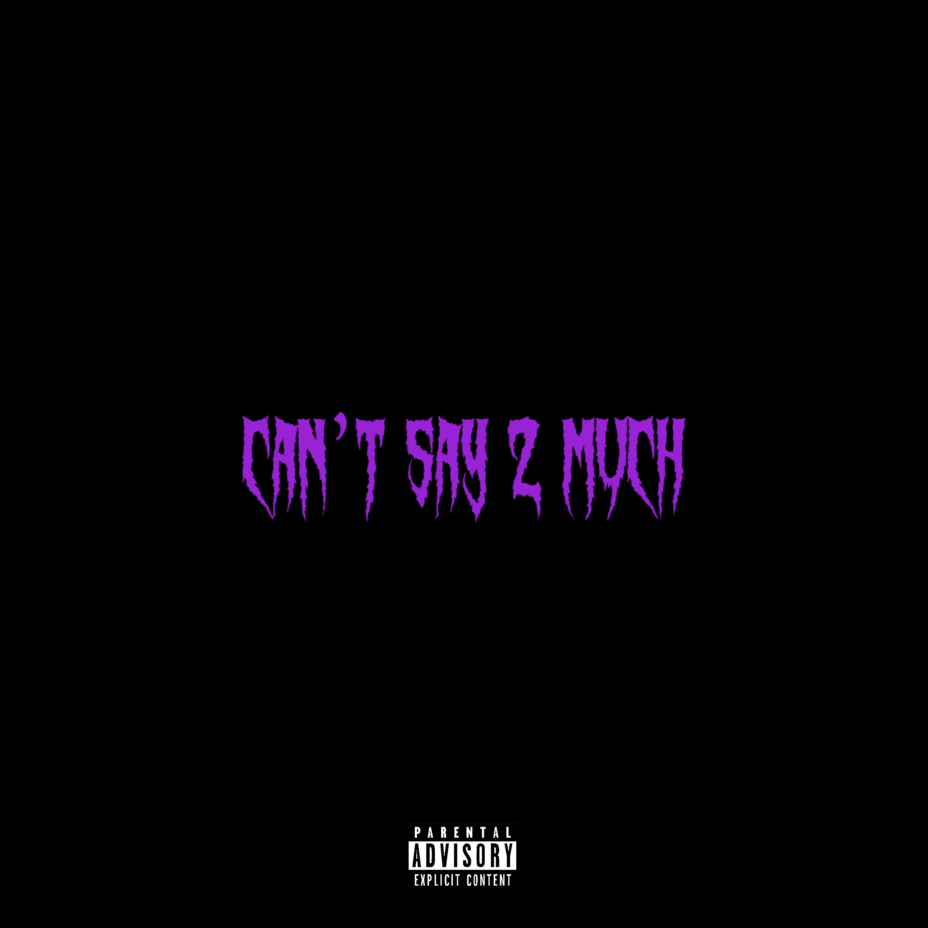 Can’t Say 2 Much artwork