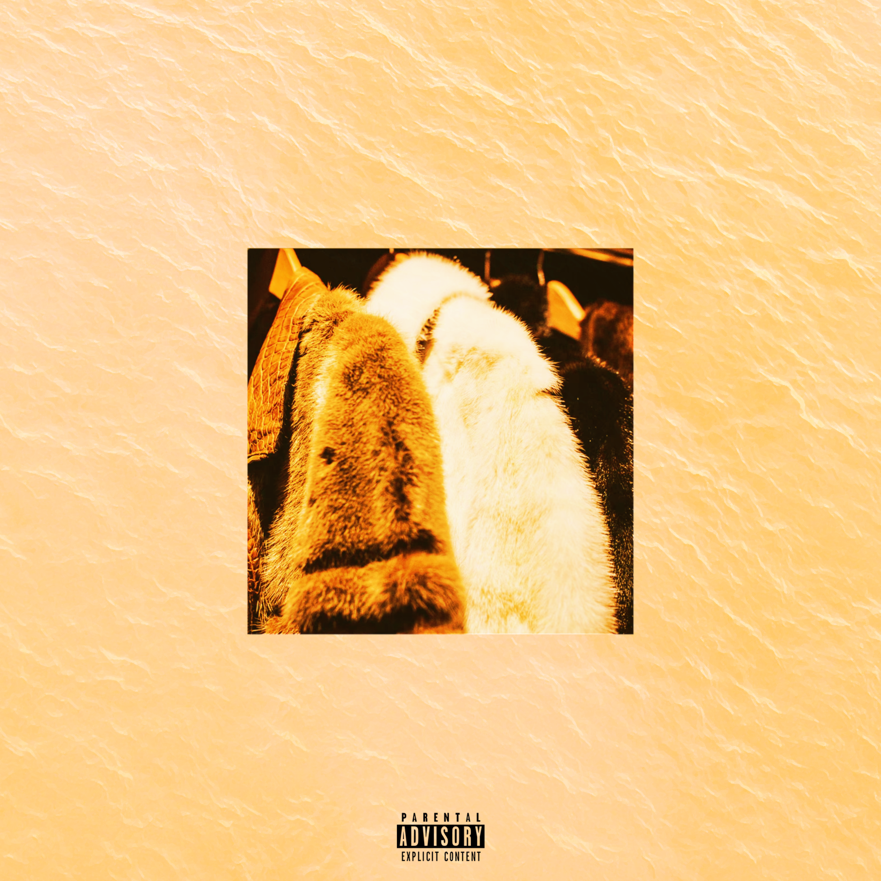 No Stylist (Remix) artwork