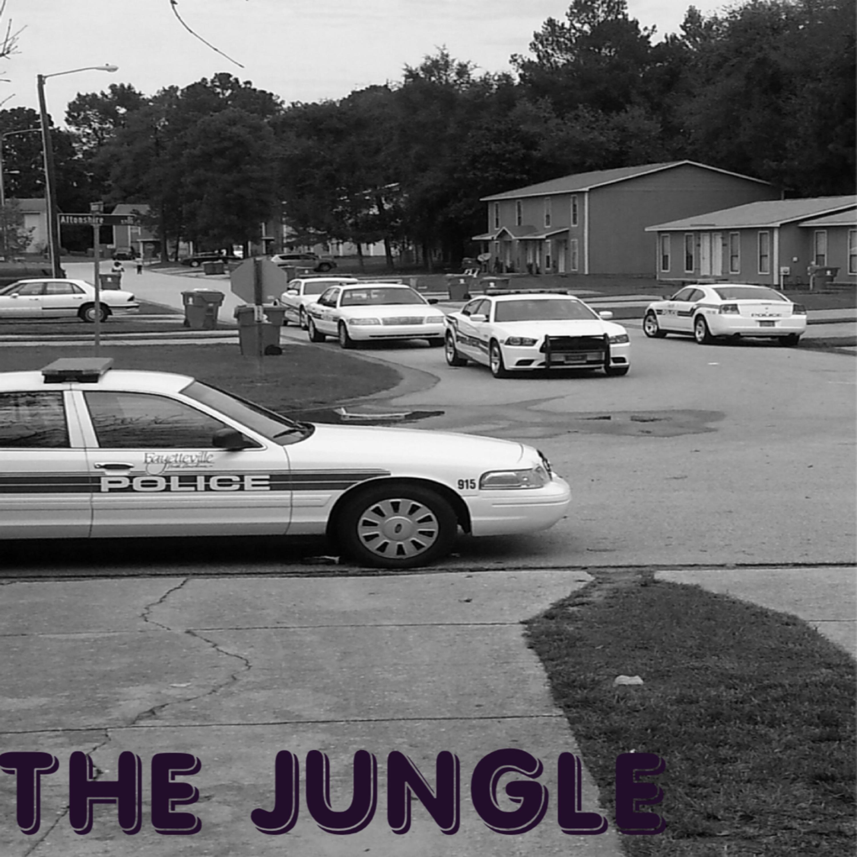 THE JUNGLE artwork