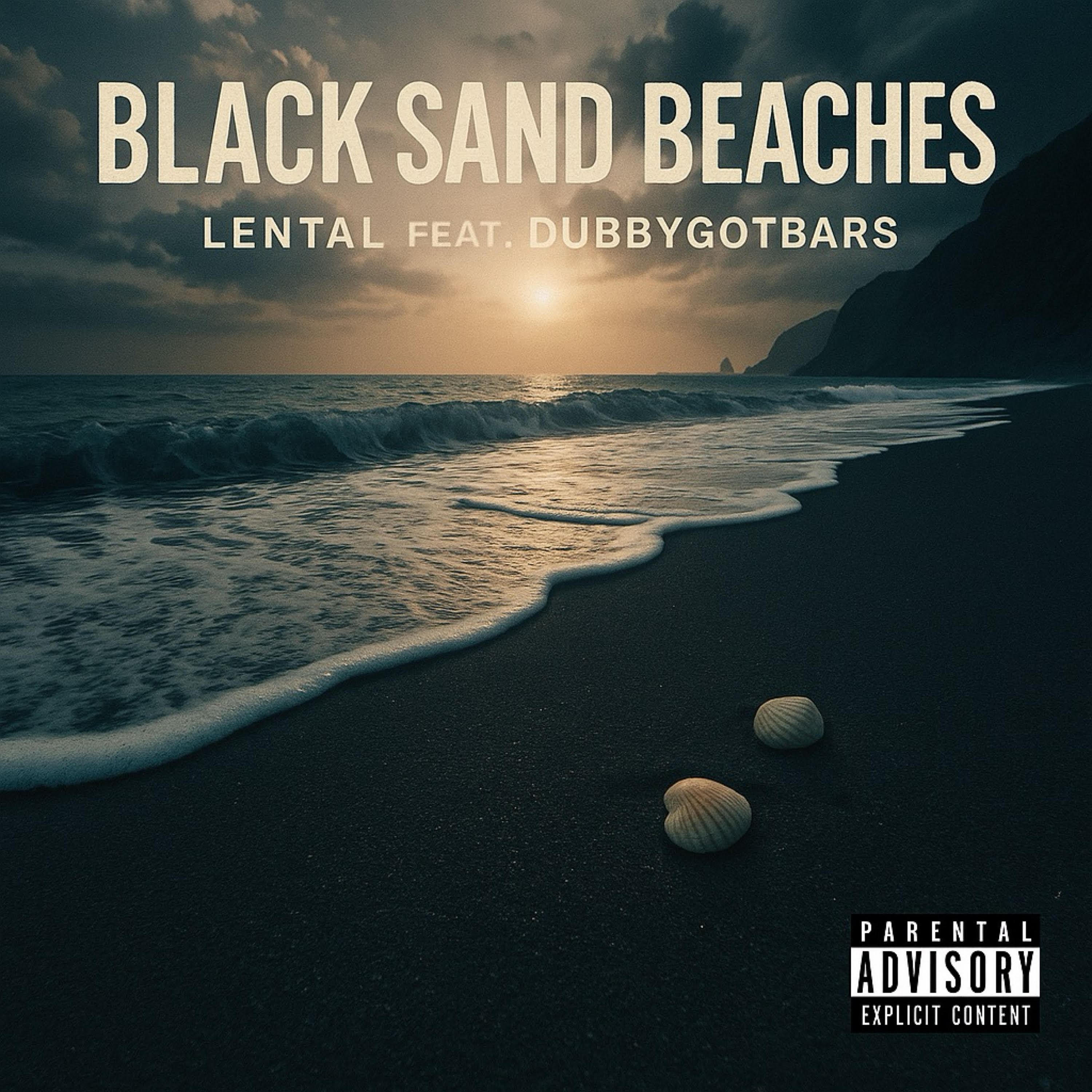 Black Sand Beaches artwork