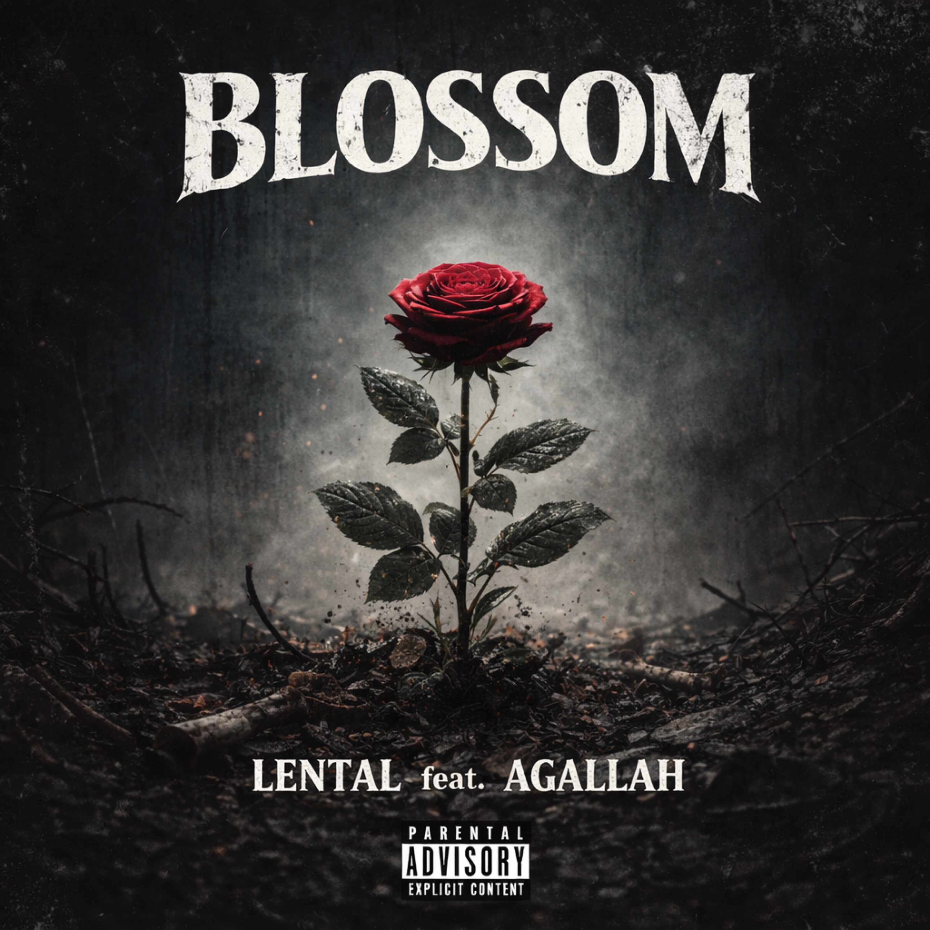 Blossom artwork