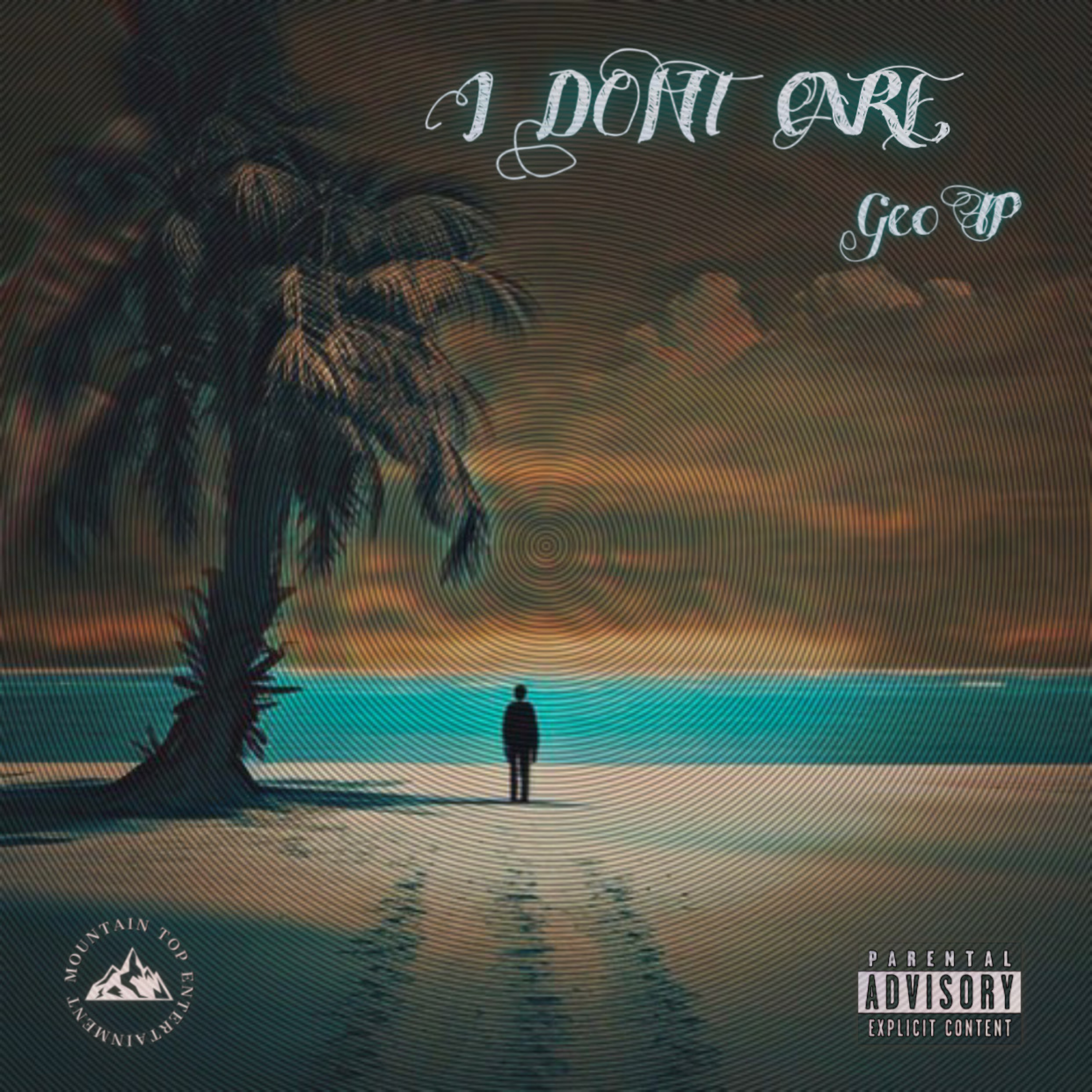 I Dont Care artwork