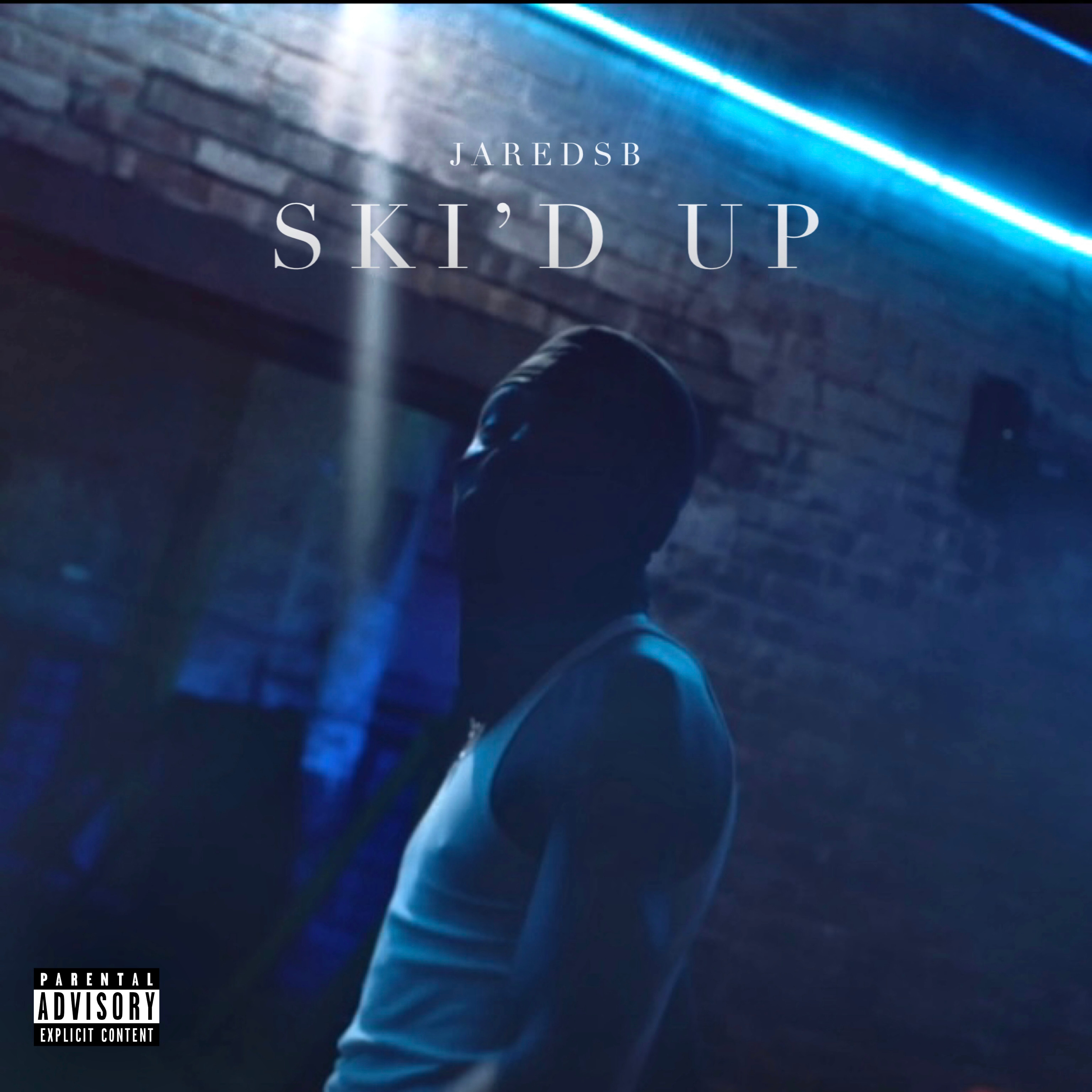 SKI'D UP artwork