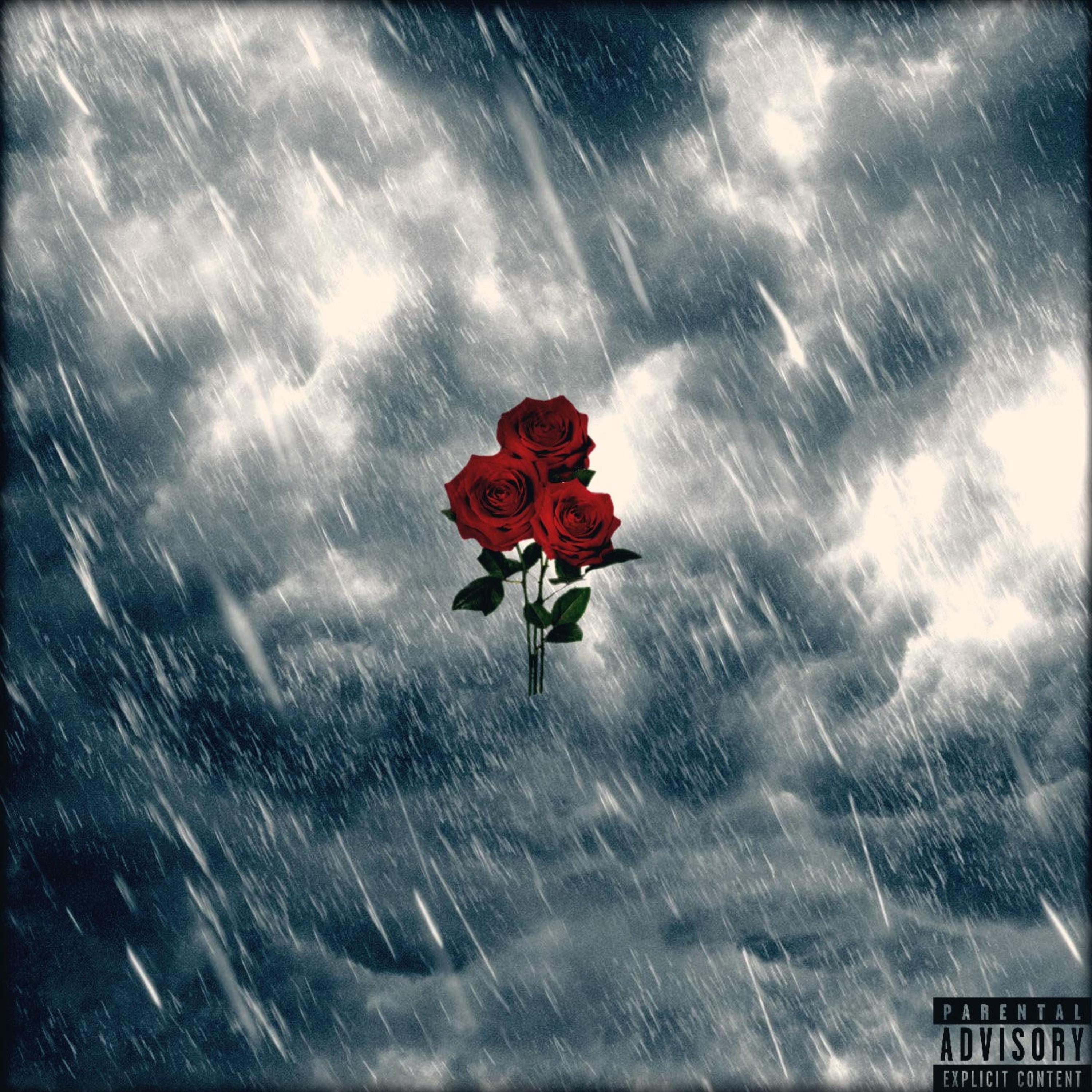 No Rain//No Rose artwork