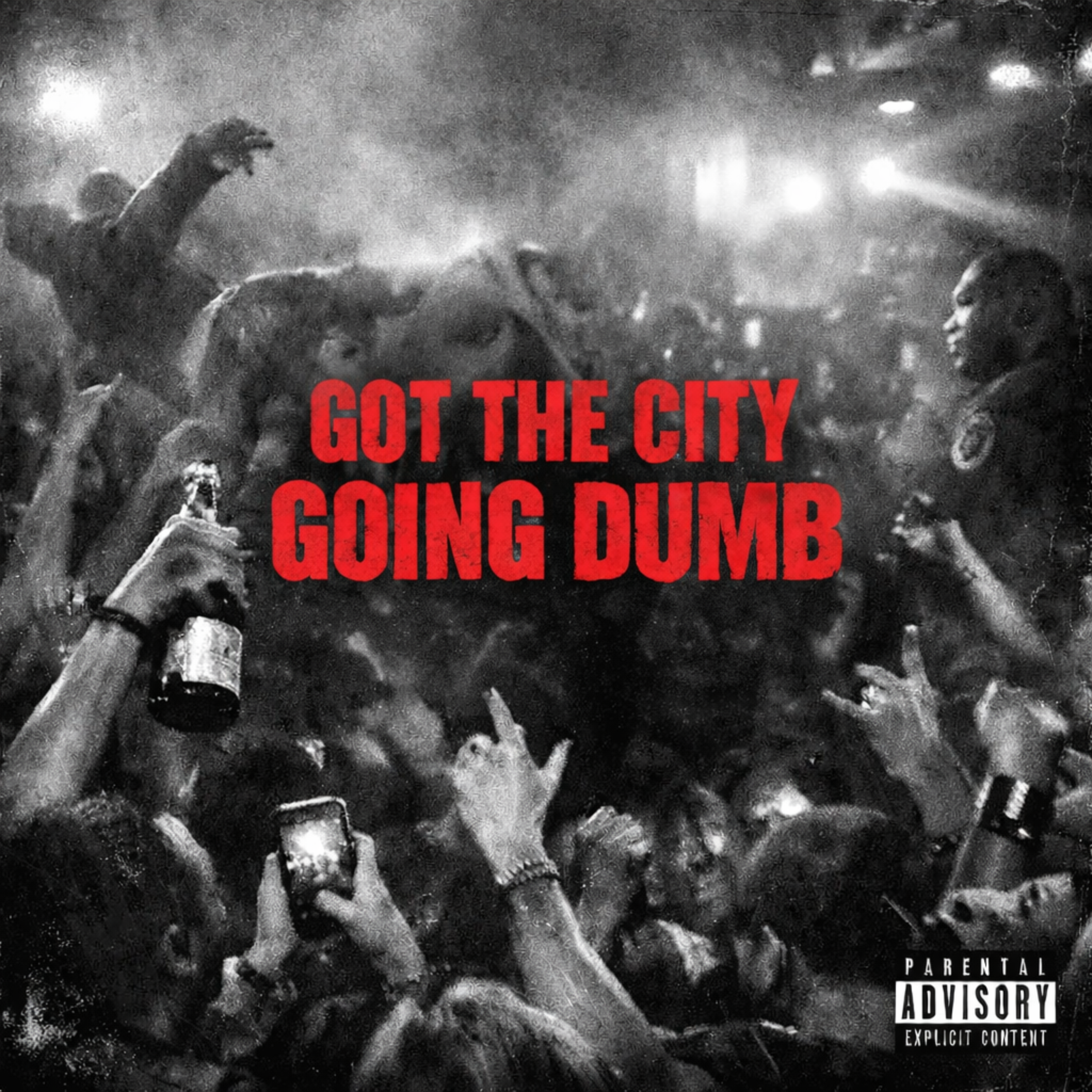 Got The City Goin Dumb artwork