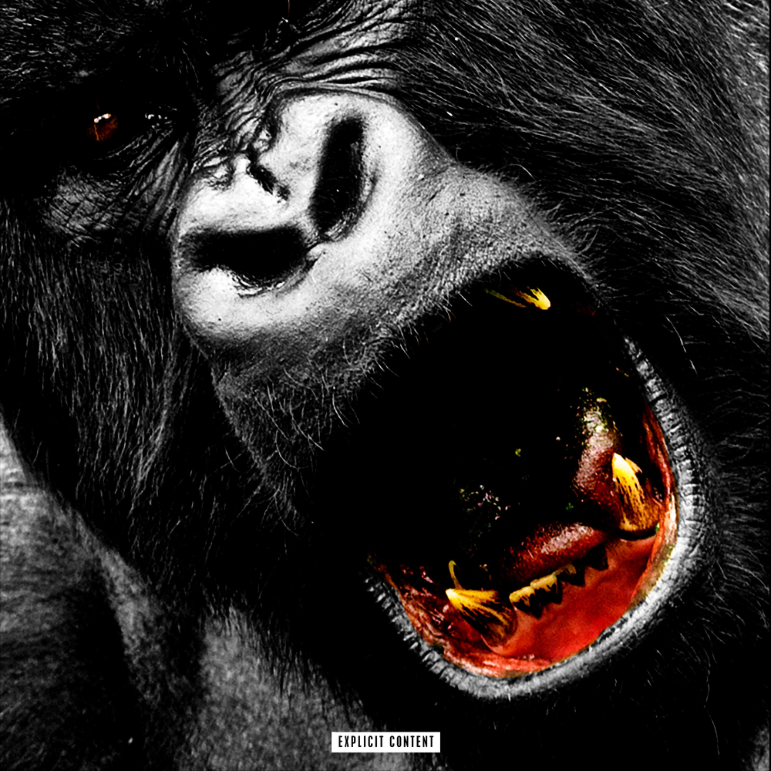 Now Or Never artwork