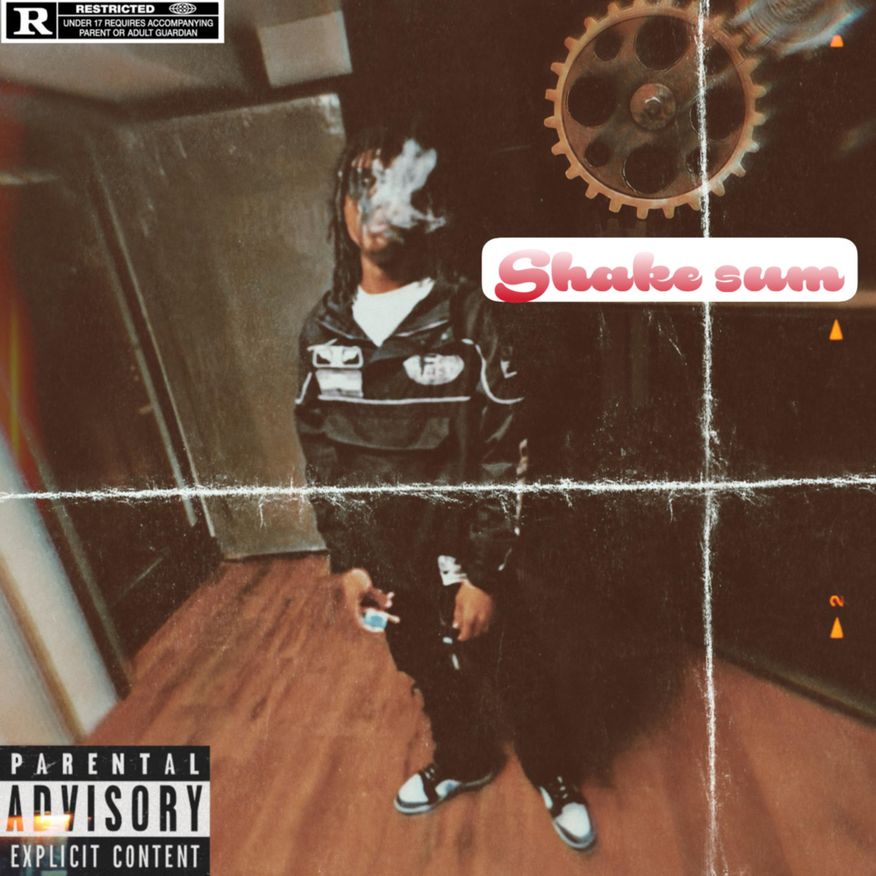 Shake Sum artwork