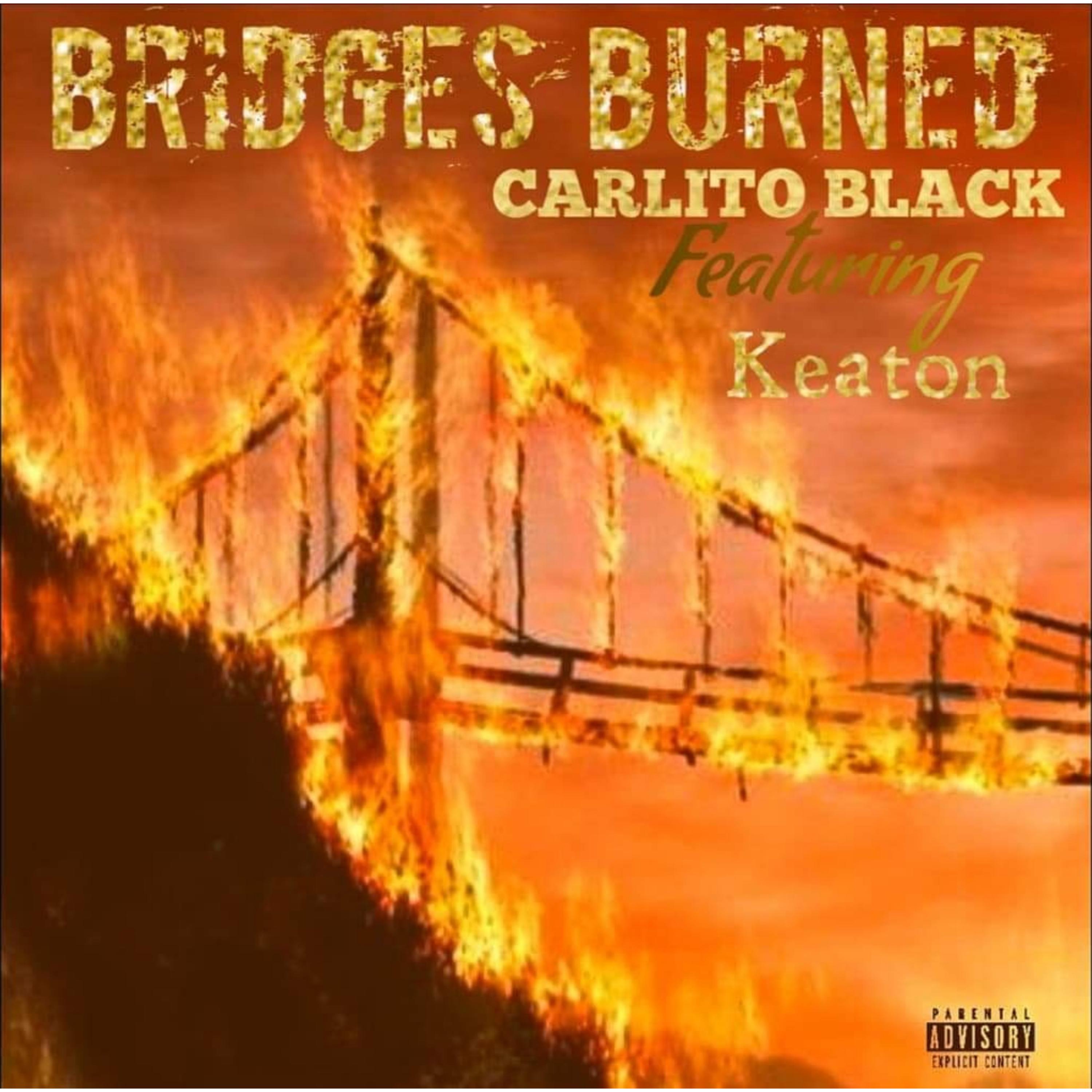 Bridges Burned artwork