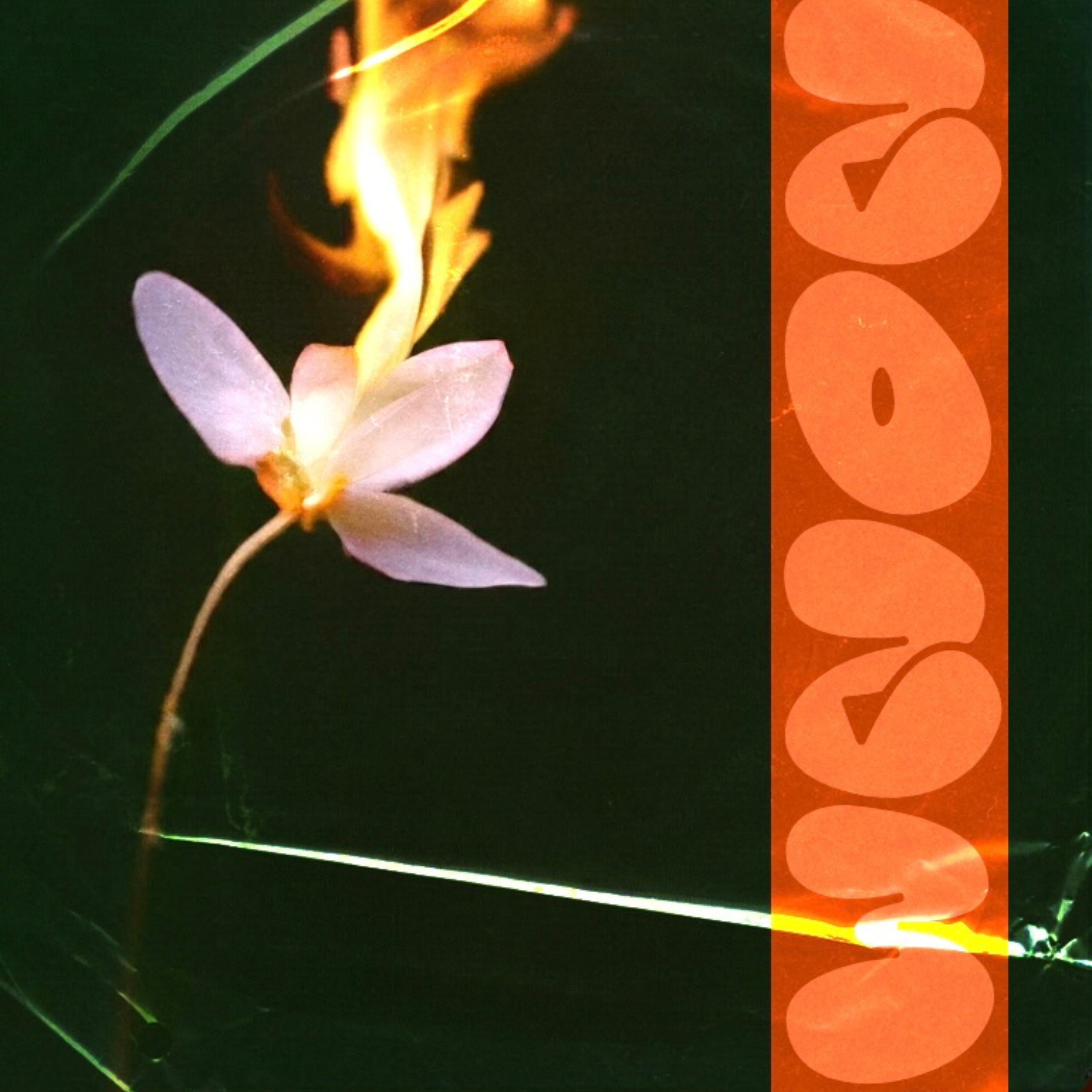 Rolling Loud Part 1+2 artwork