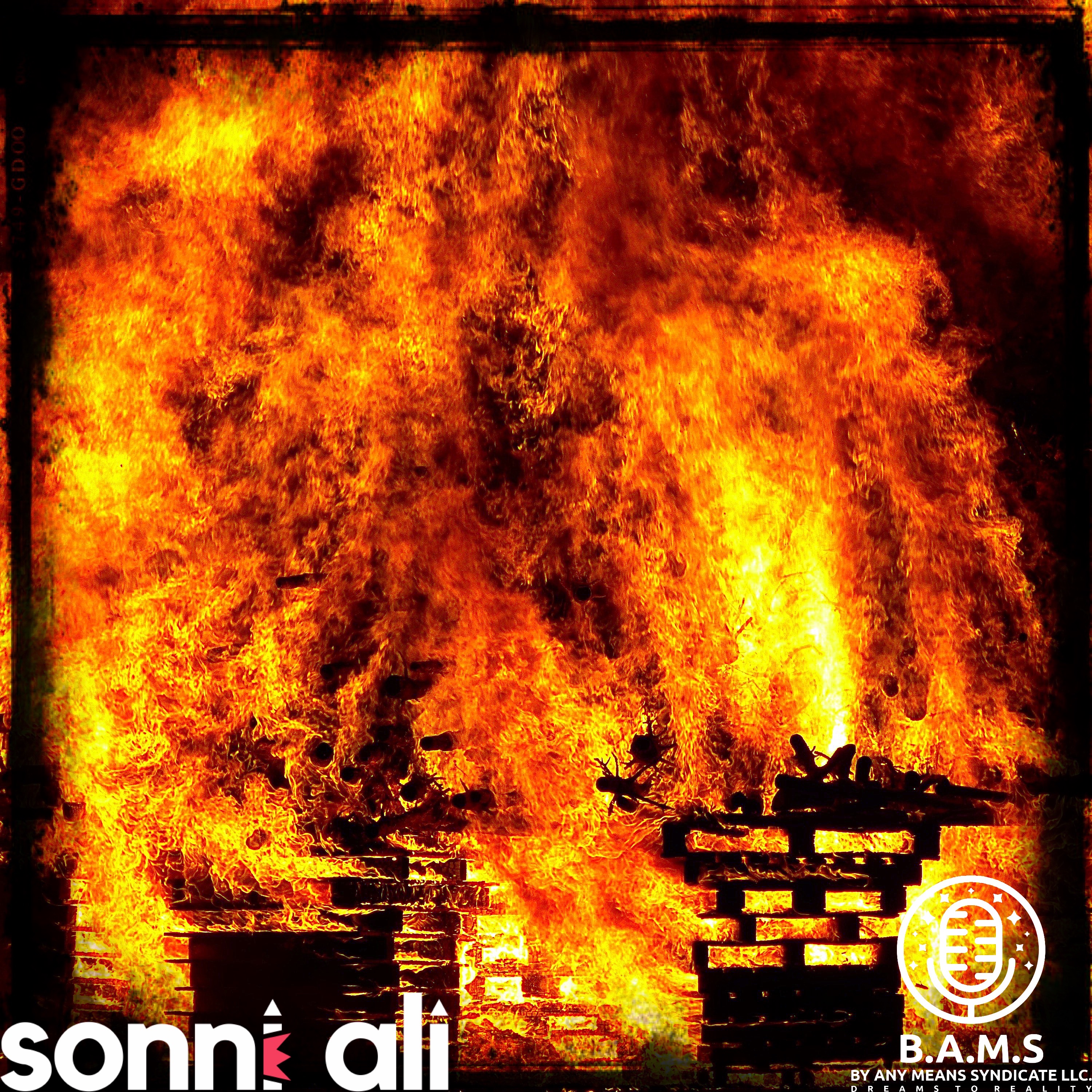 RISE by Sonni Ali cover art