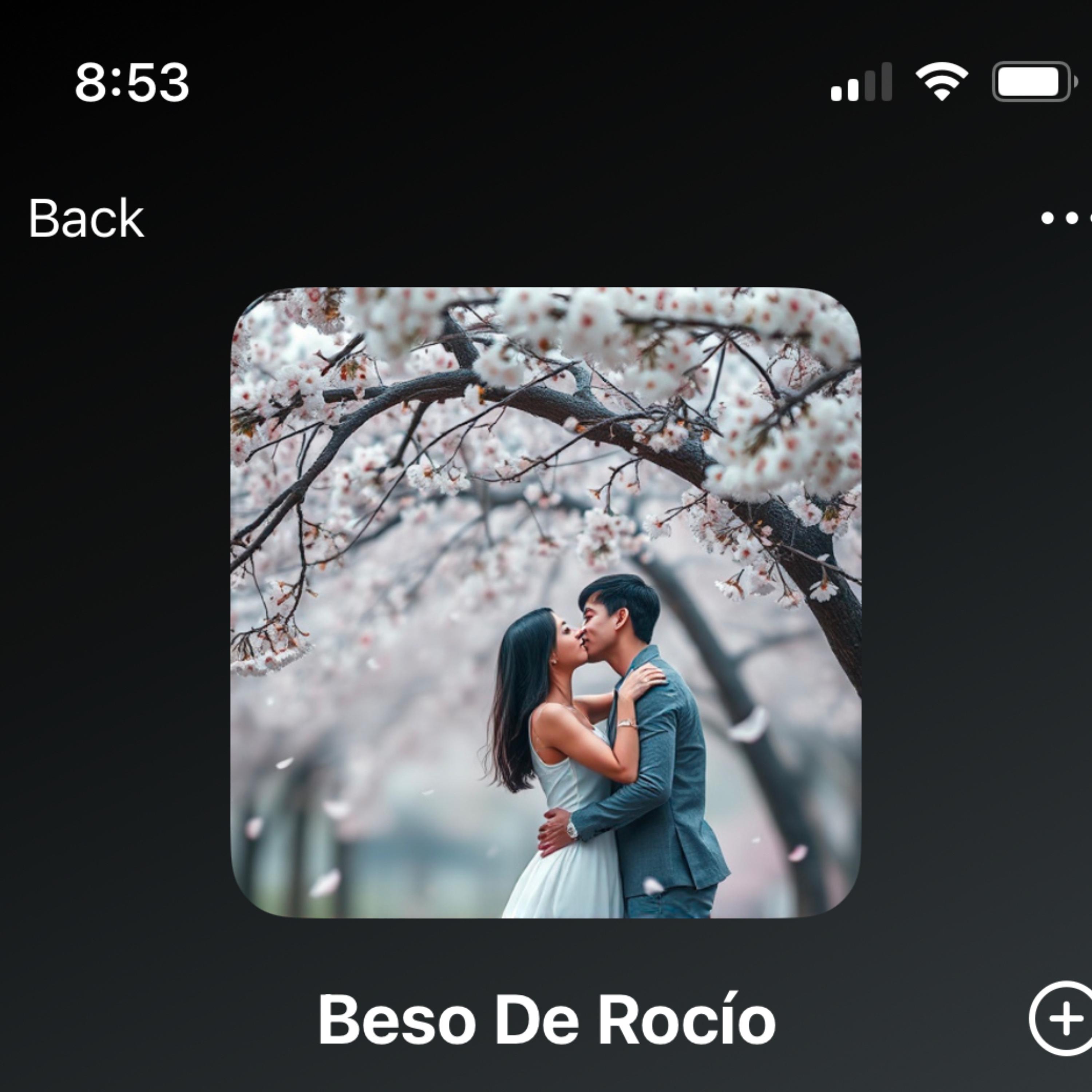 Beso De Rocio artwork