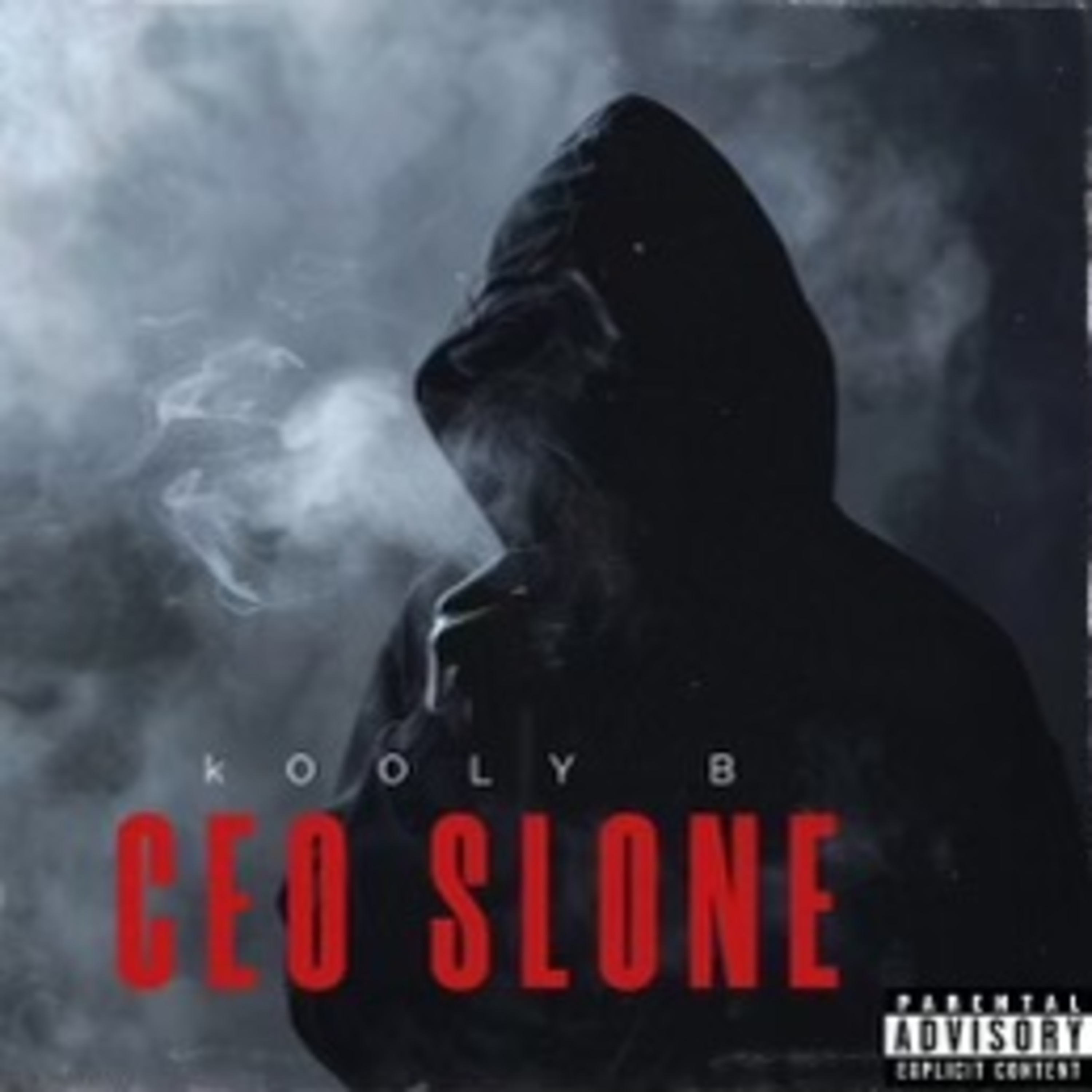 CEO SLONE artwork