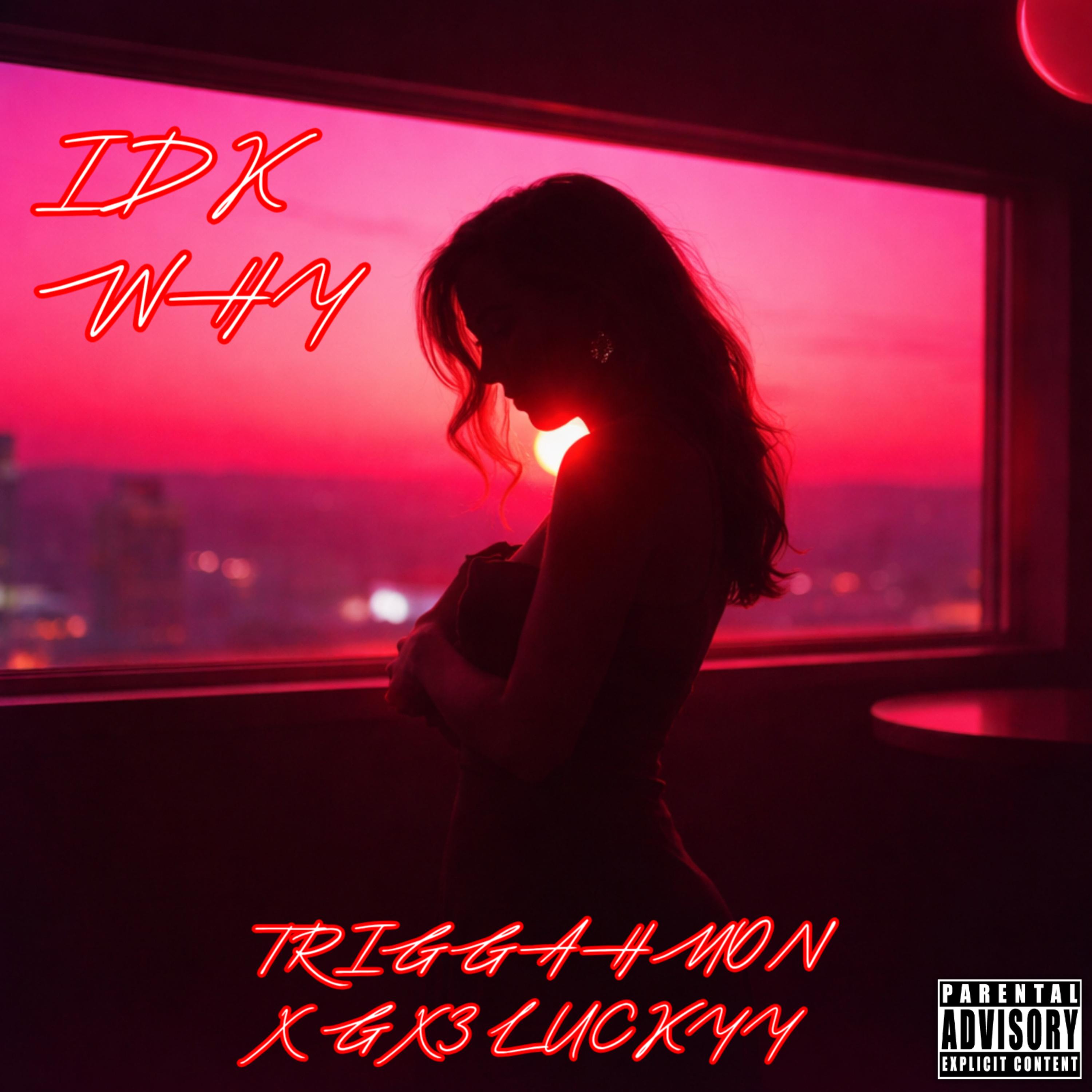 Idk Why artwork