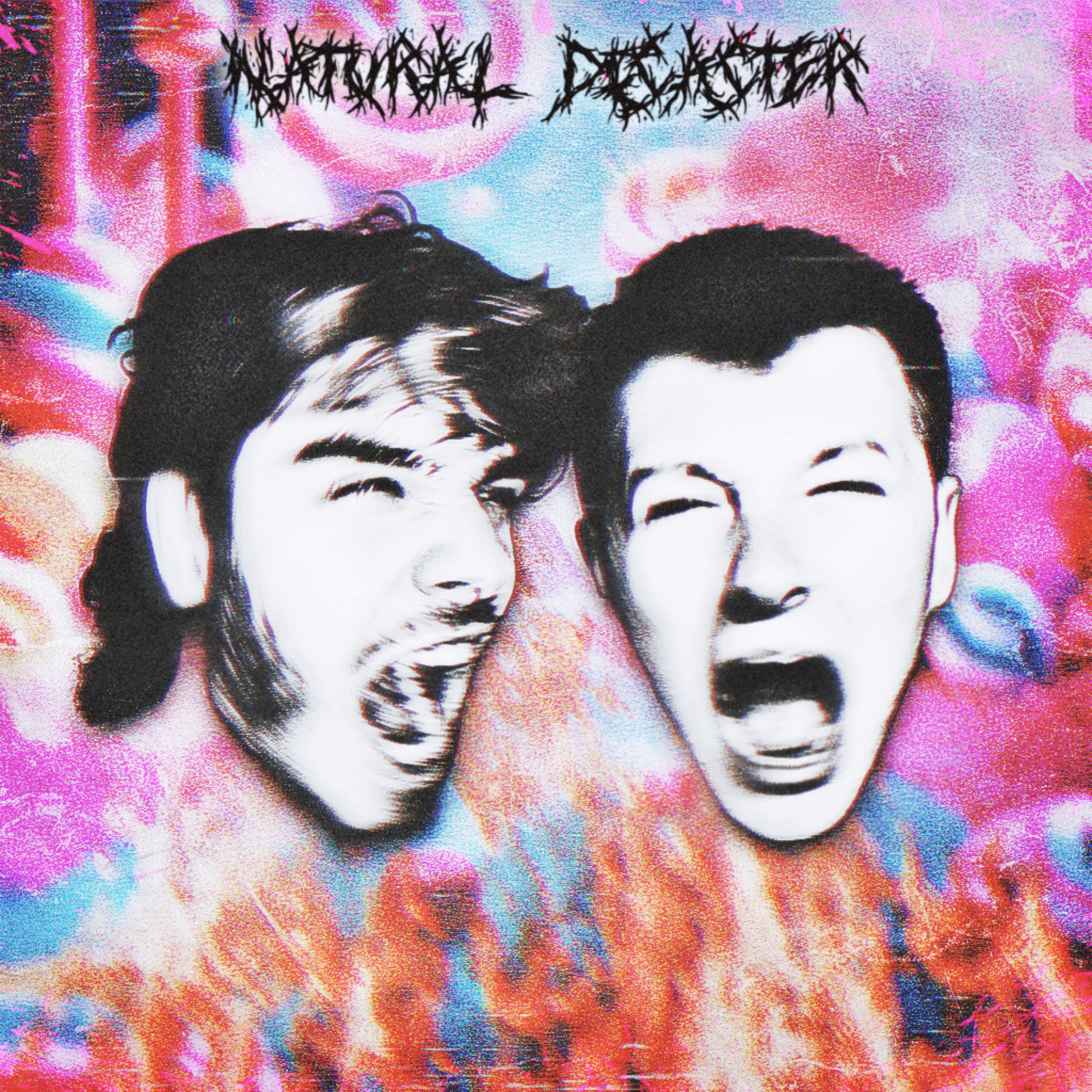 NATURAL DISASTER artwork