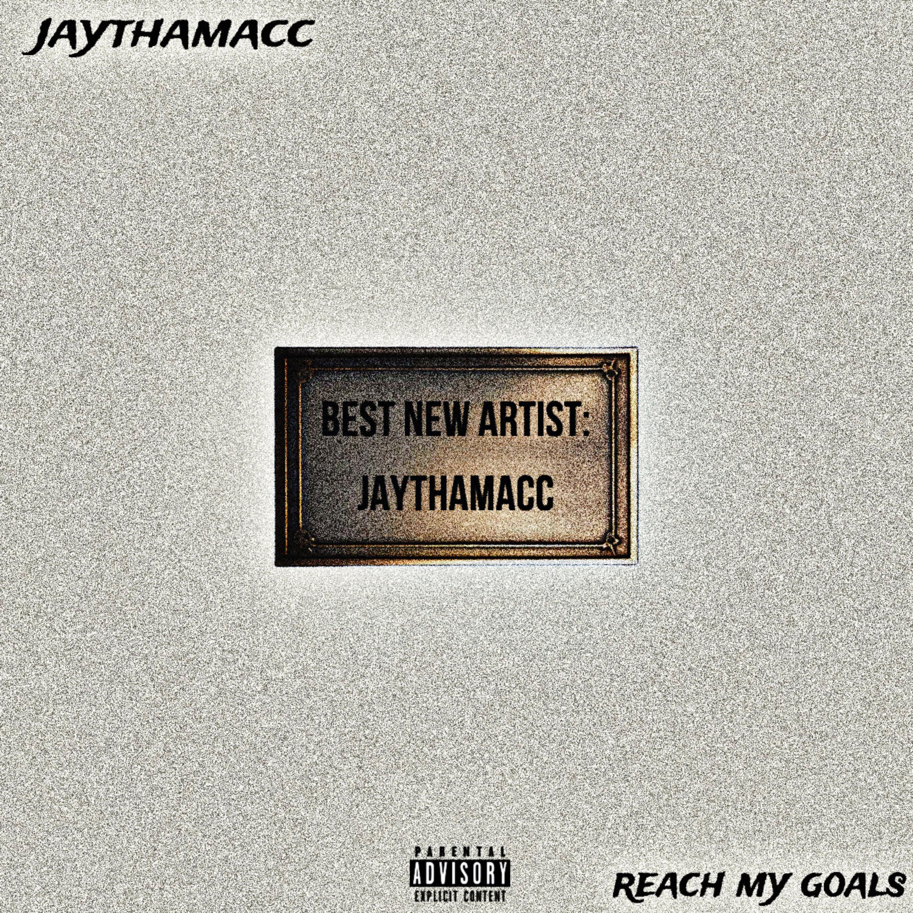 REACH MY GOALS artwork