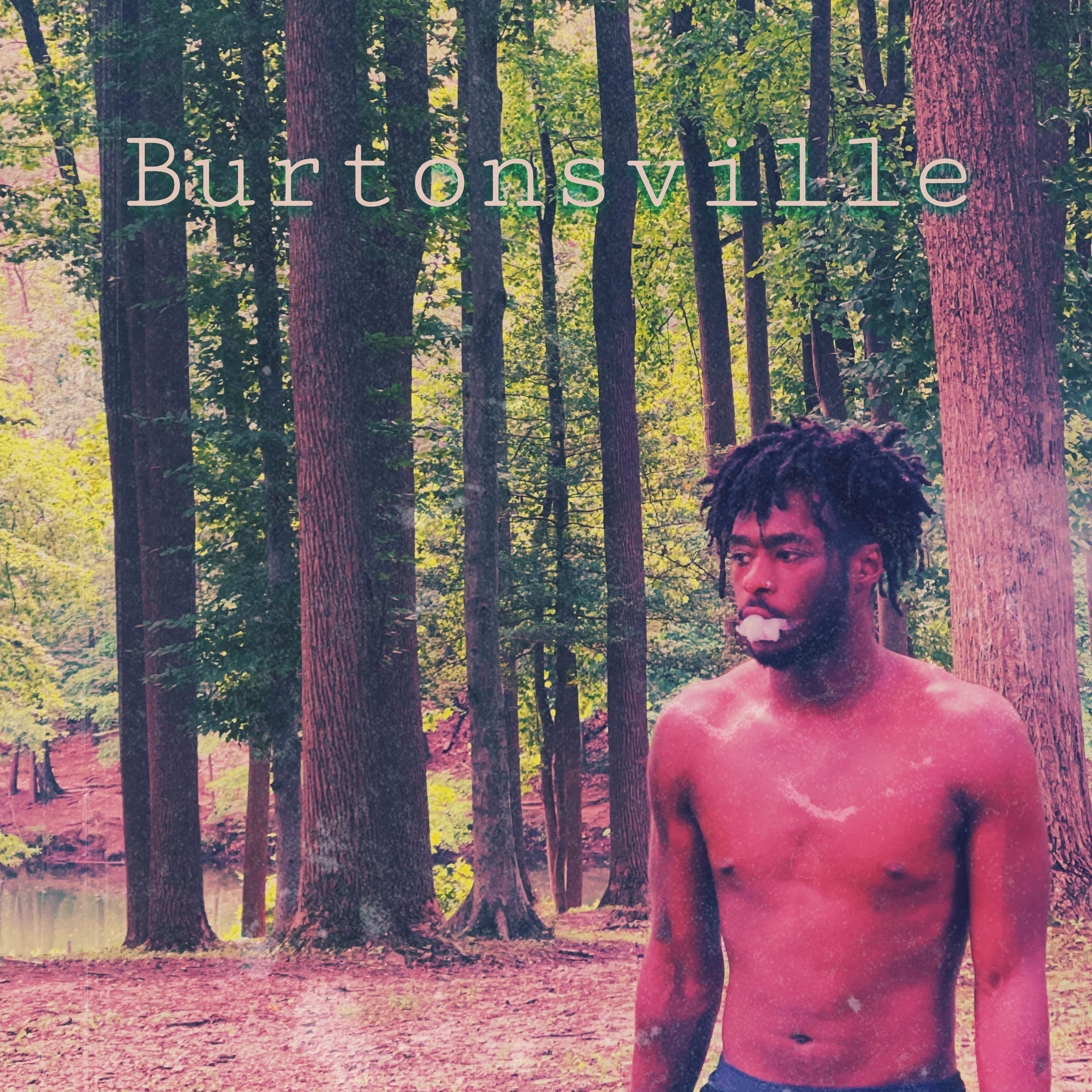 Burtonsville artwork