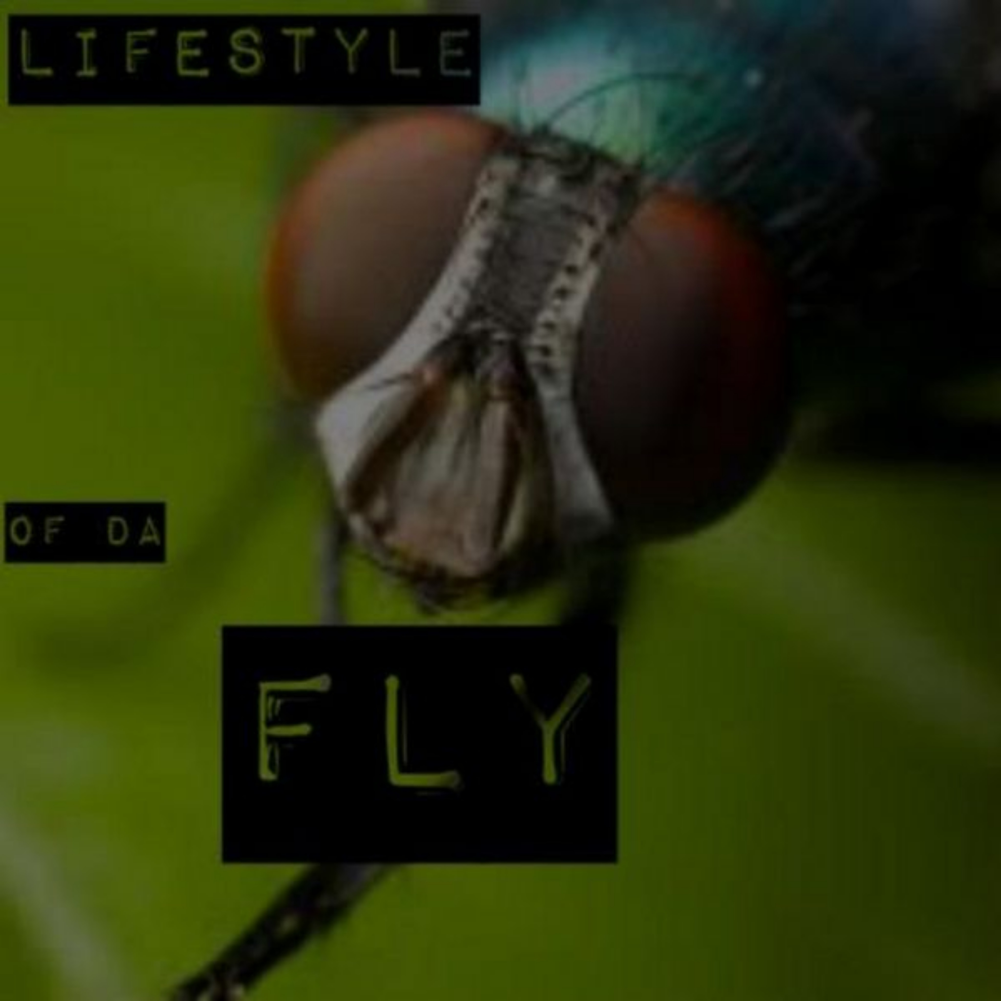 Lodf3 artwork