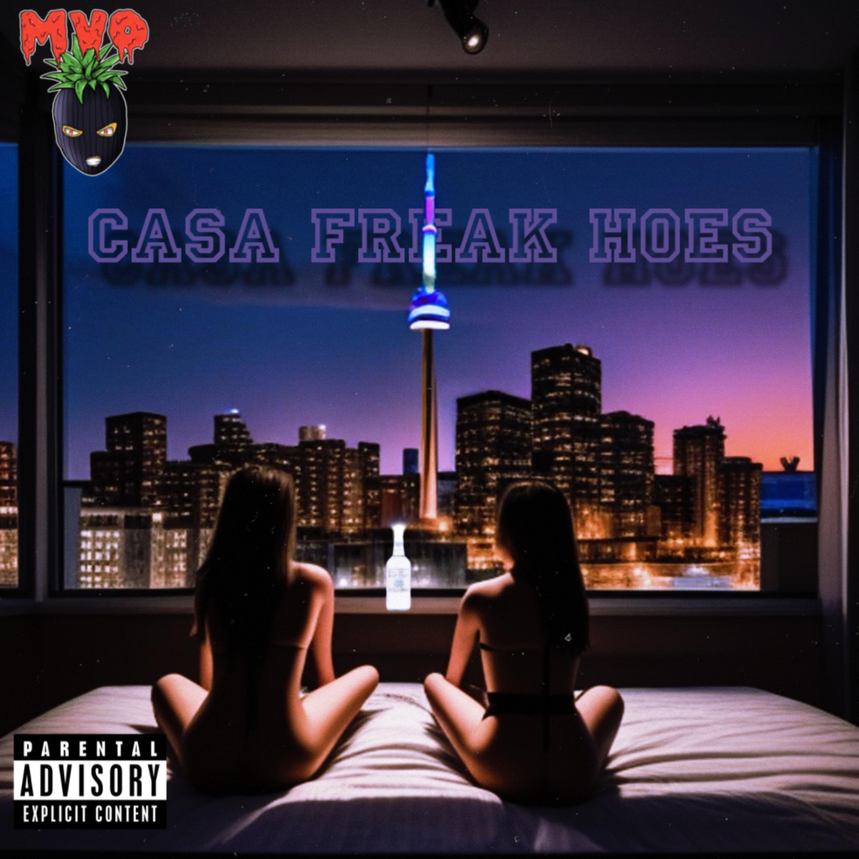Casa Freak Hoes artwork