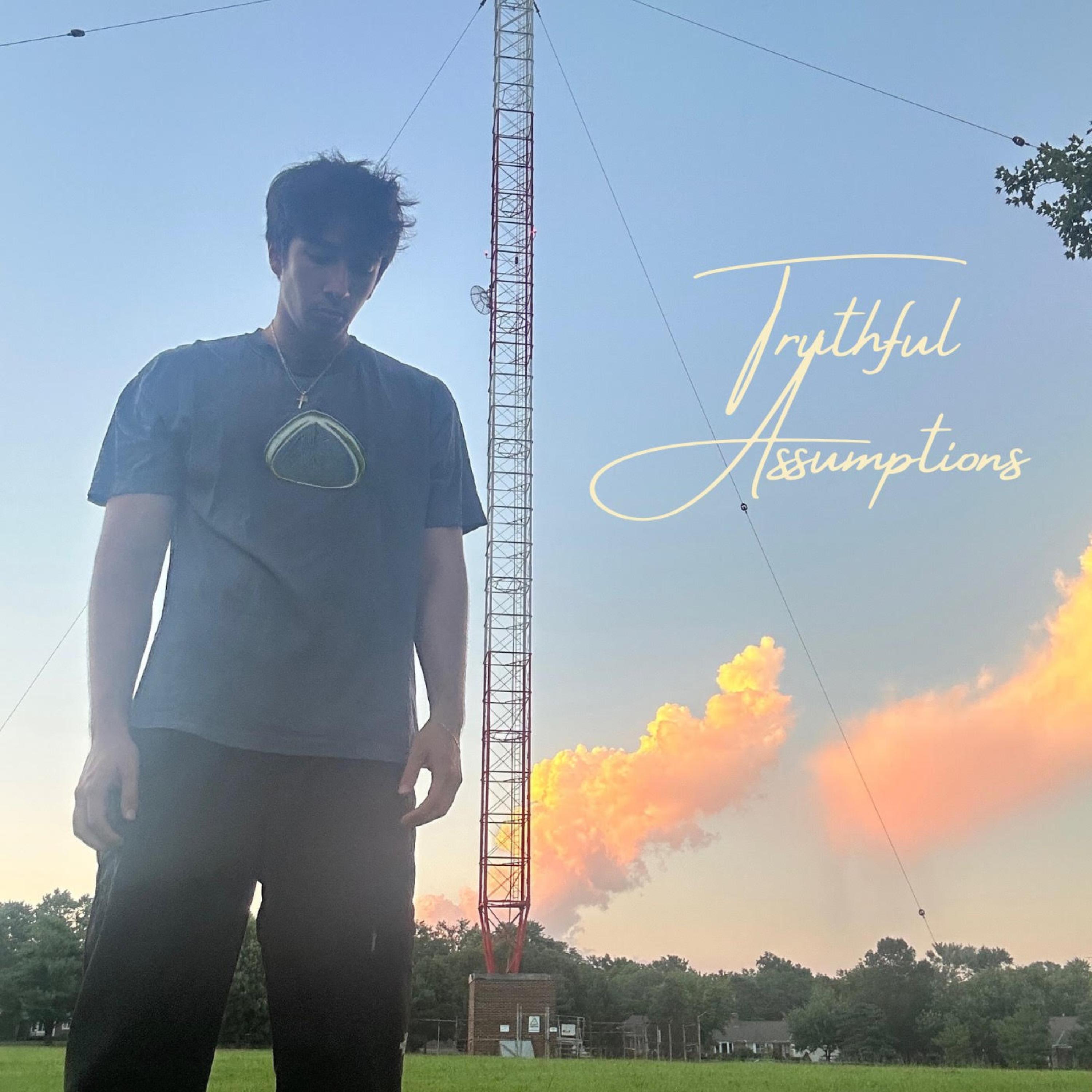 Truthful Assumptions artwork