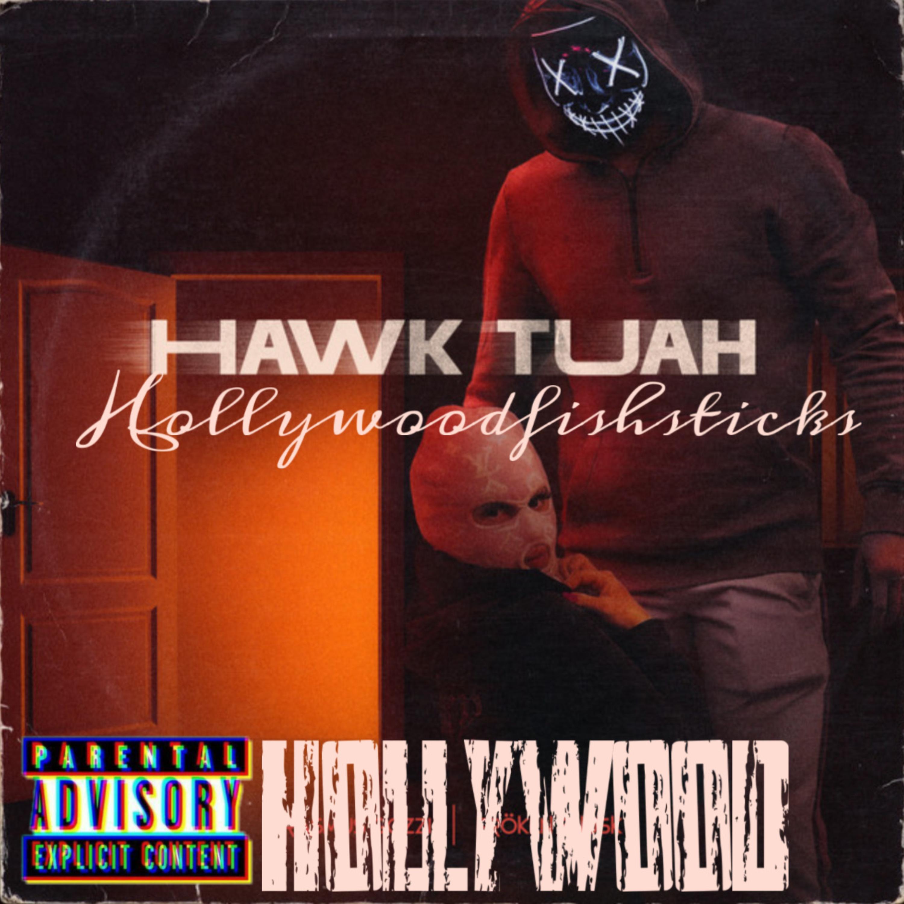 HawkTuah artwork