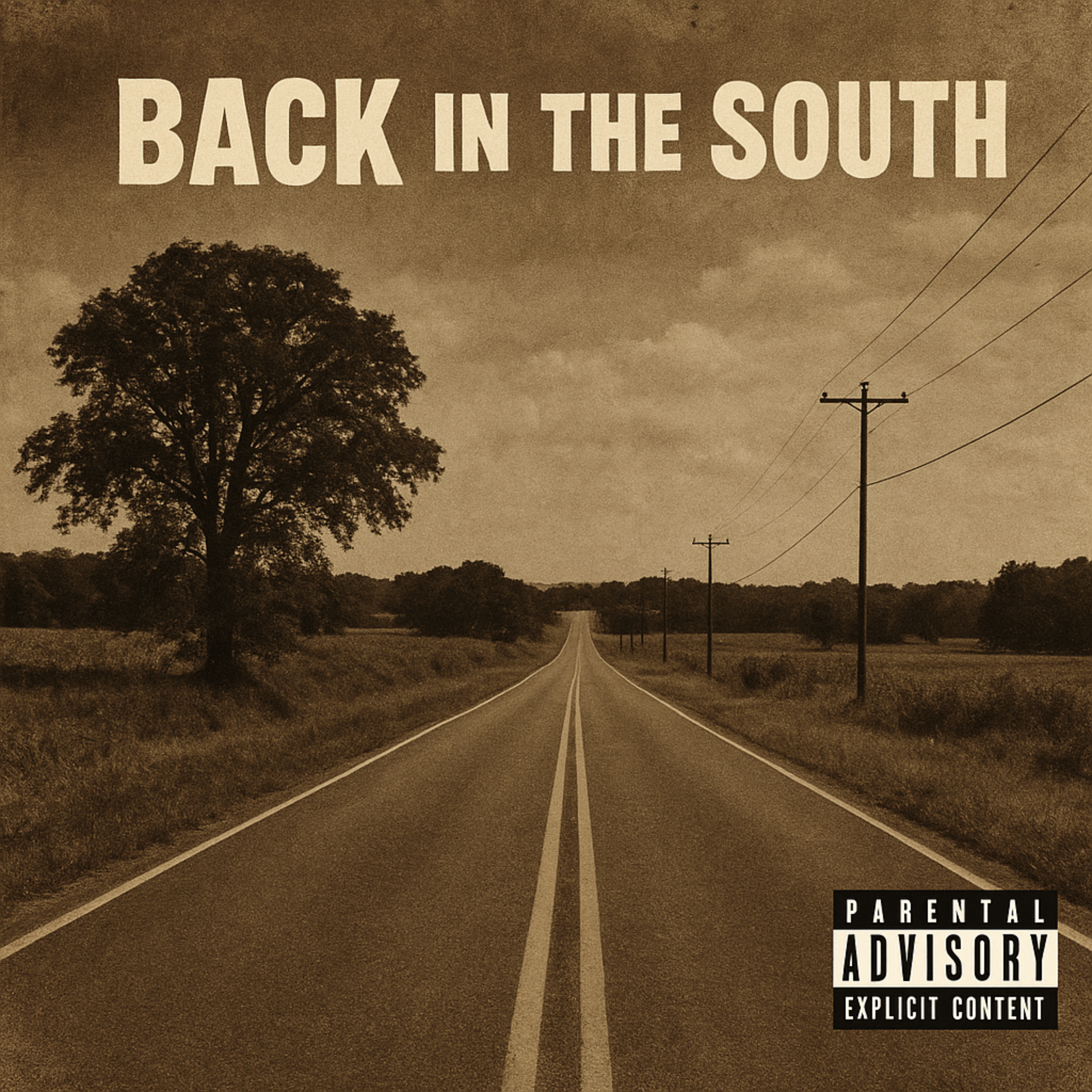 BACK IN THE SOUTH artwork