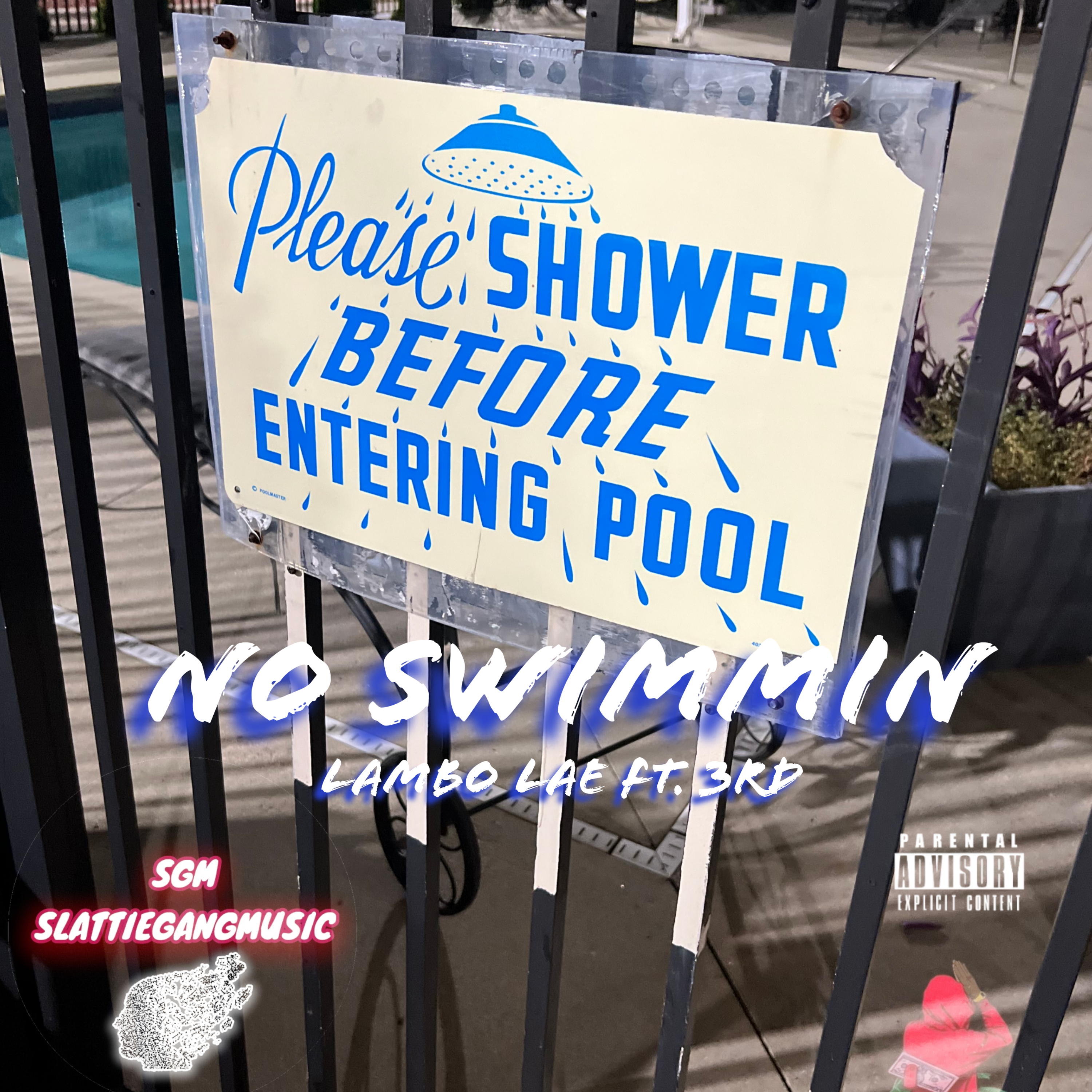NO SWIMMIN artwork